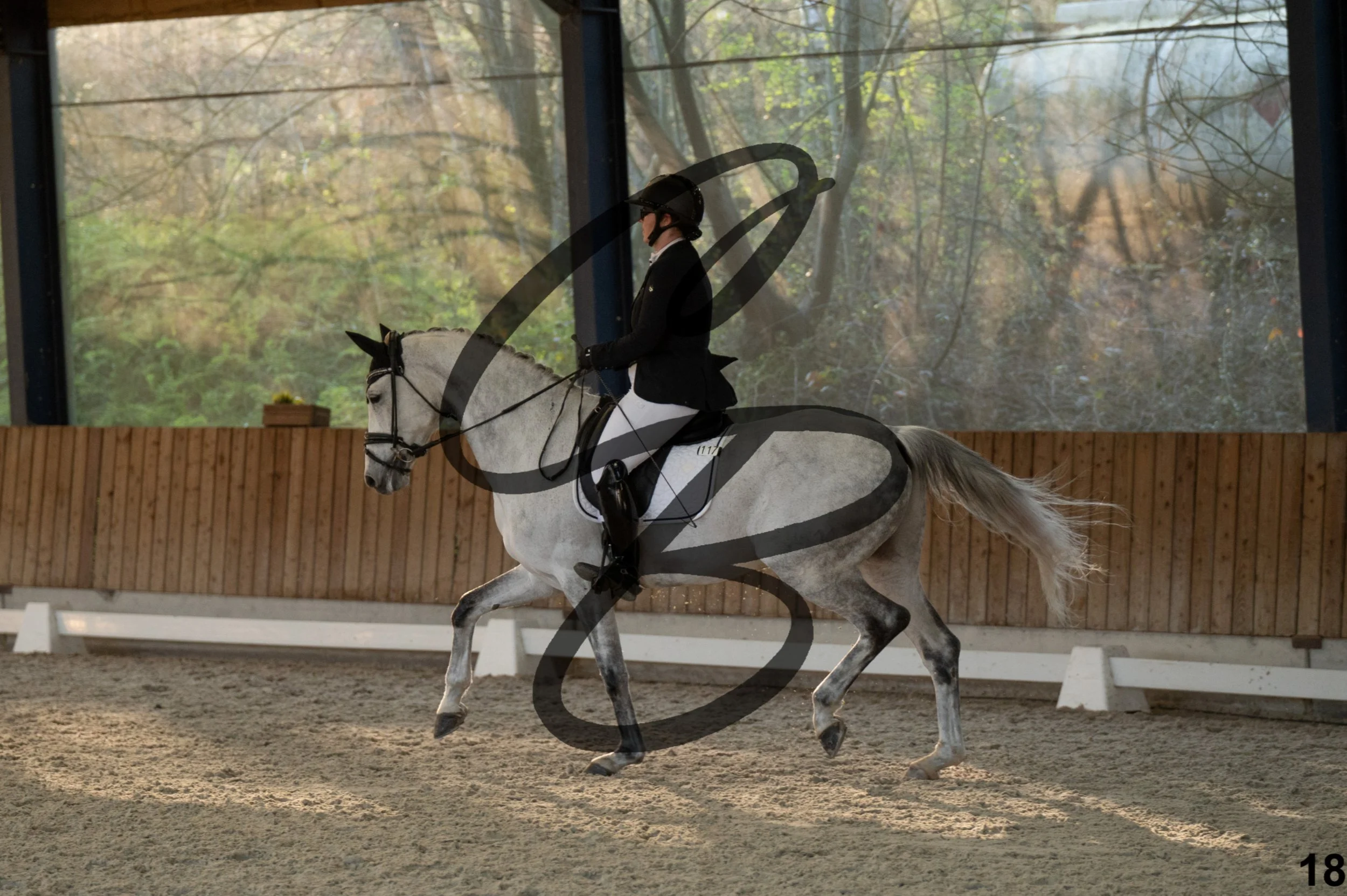 2026.03.22 - niv4.2-18.jpg