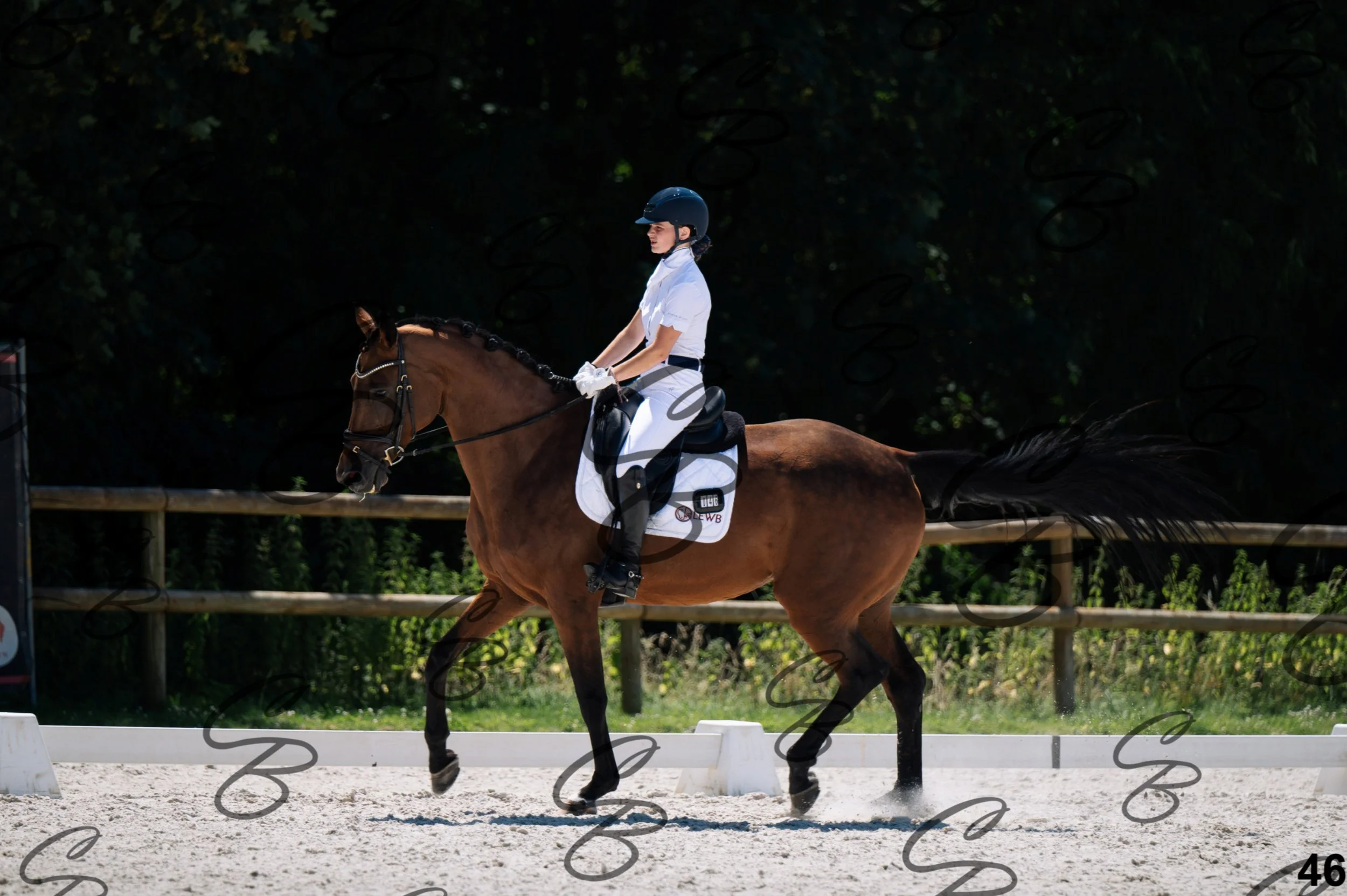 2026.07.12 - Niveau 1 - N1.5-46.jpg