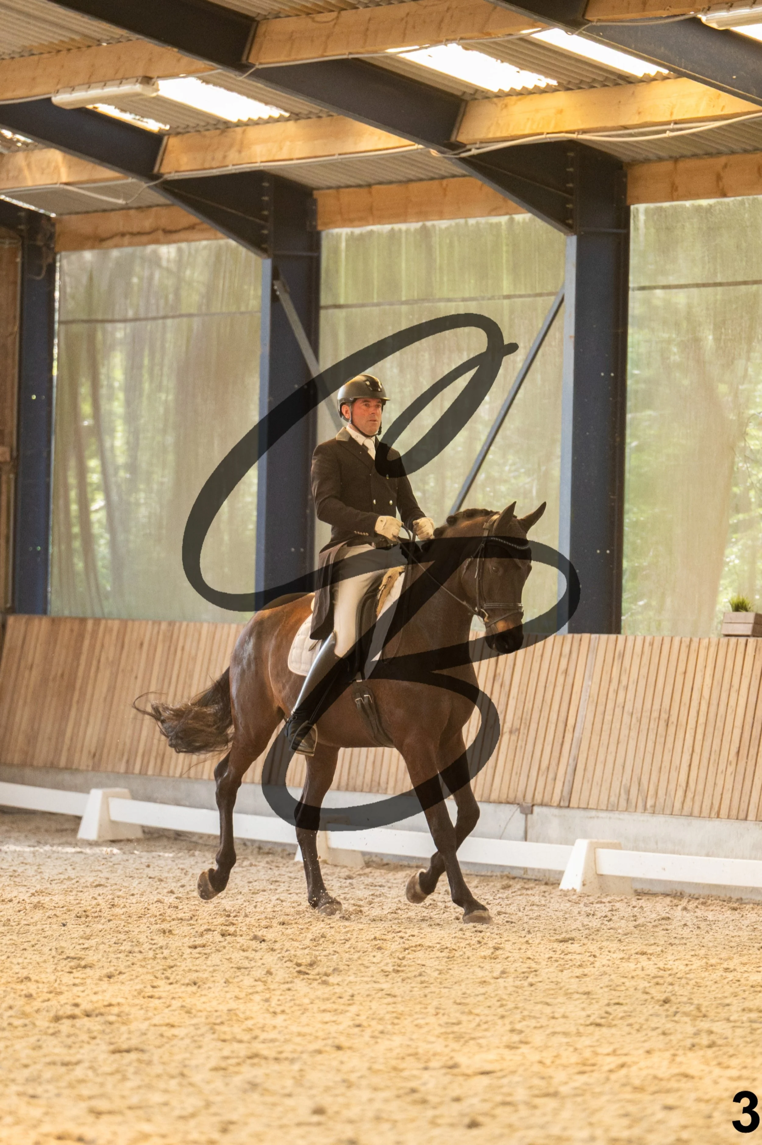 2026.03.22 - 7 ans - jeunes chevaux-20.jpg