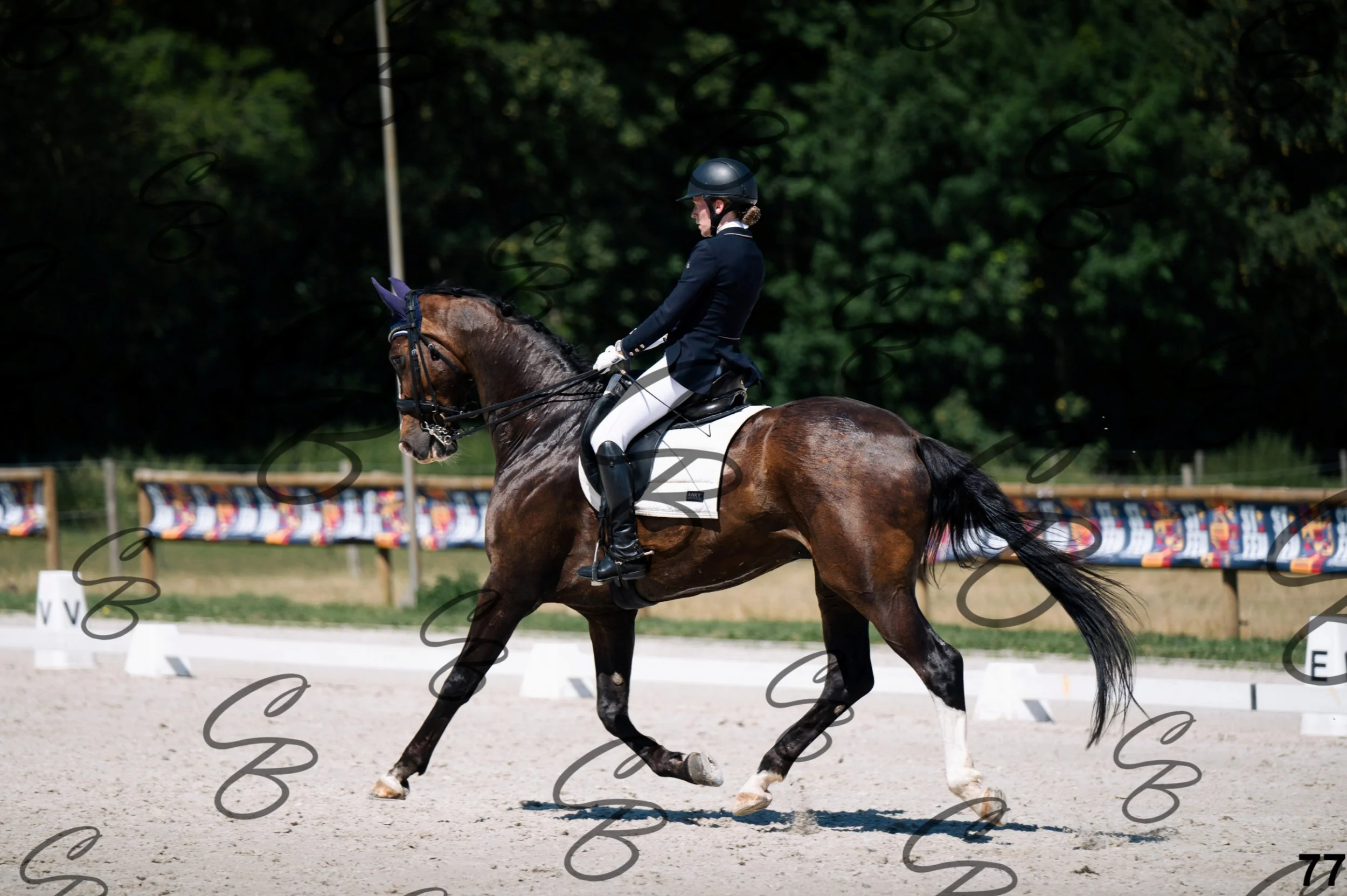 2026.07.12 - Niveau 4 - N4.3-77.jpg