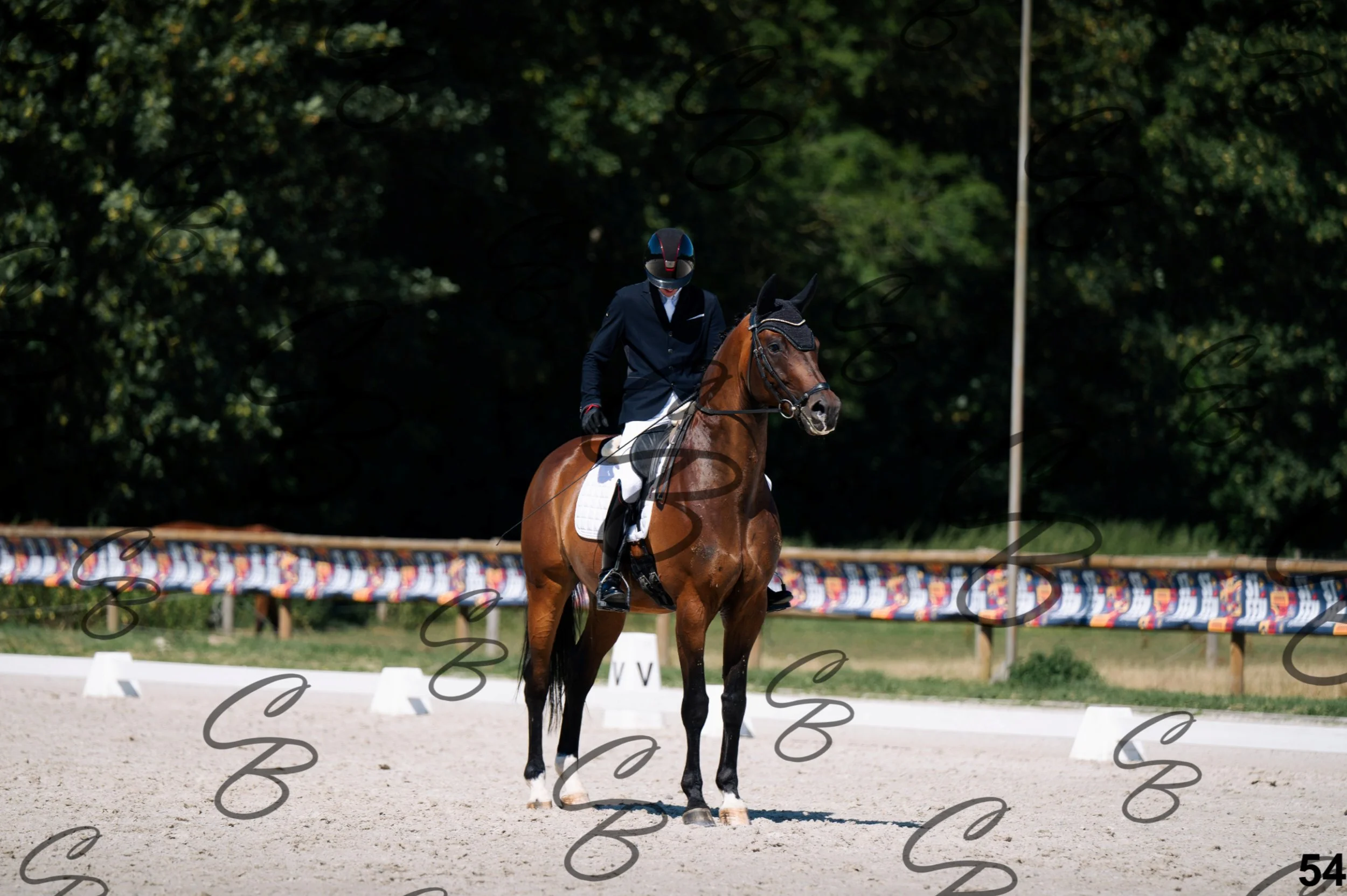 2026.07.12 - Niveau 4 - N4.3-54.jpg