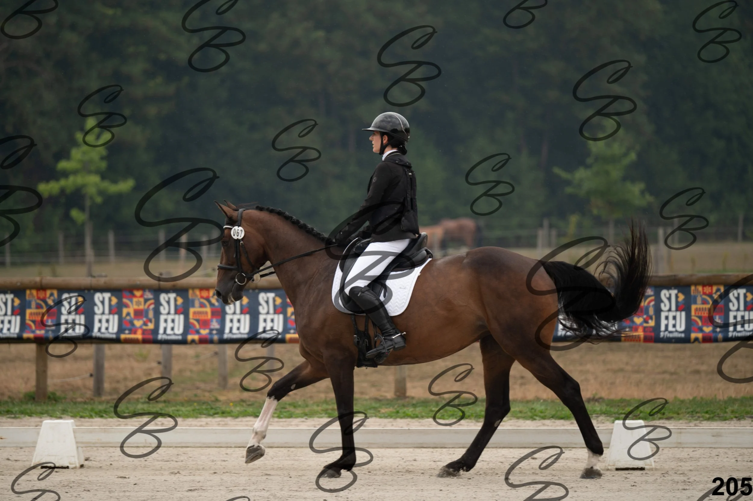 2026.08.15 - Louchier - GHO-279.jpg