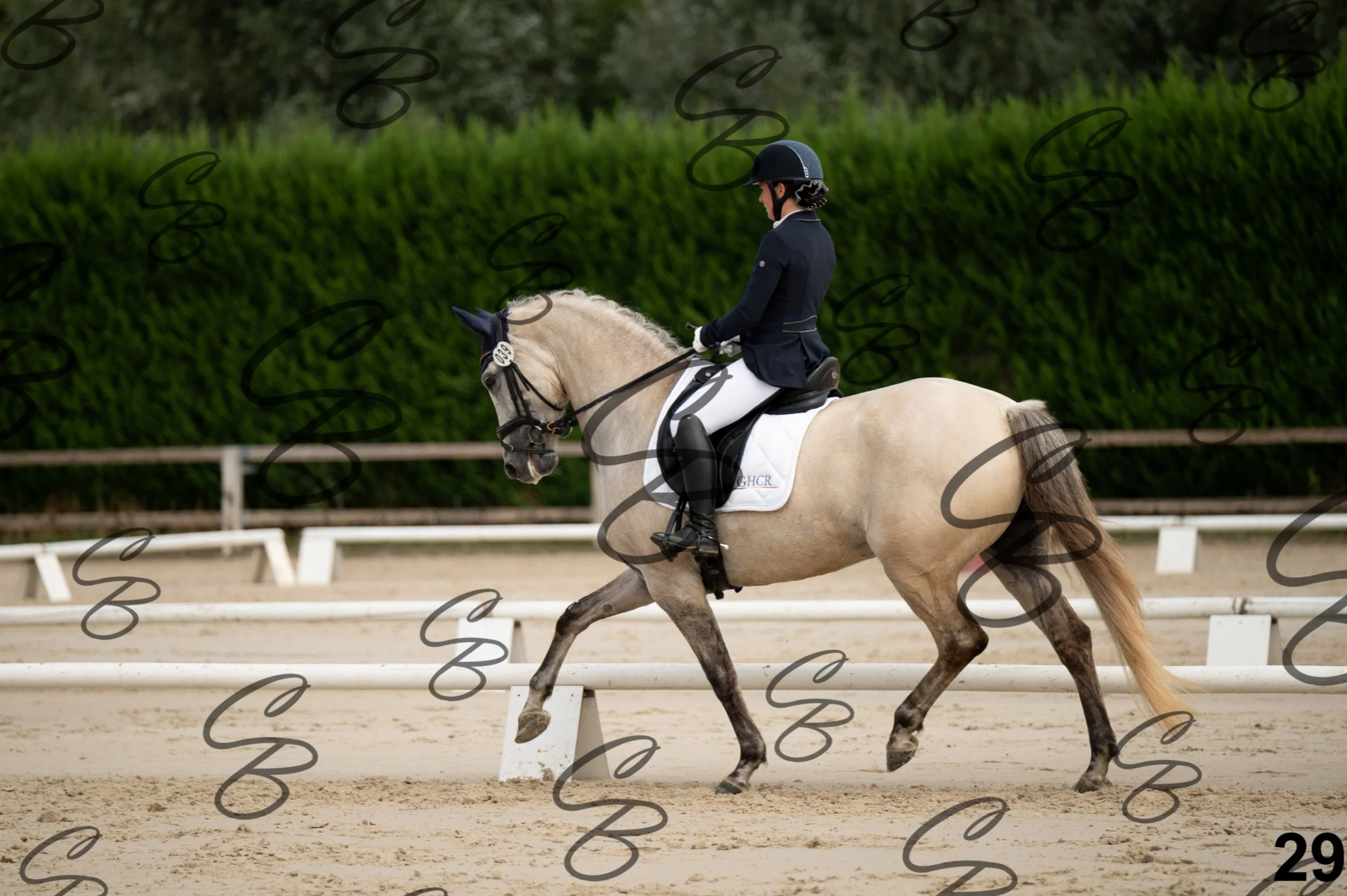 2026.09.20 - Djessy-29.jpg