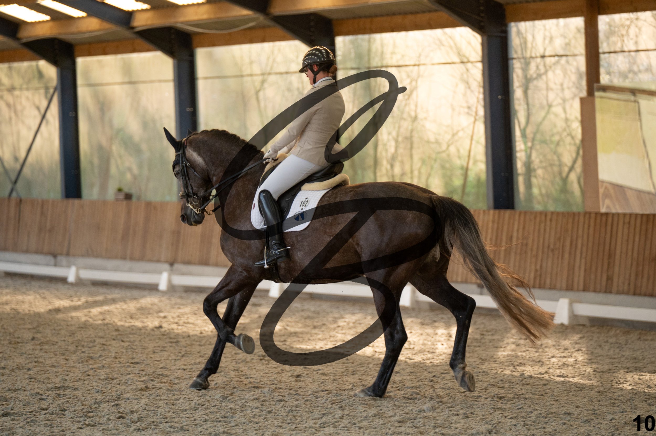 2026.03.22 - niv4.2-10.jpg