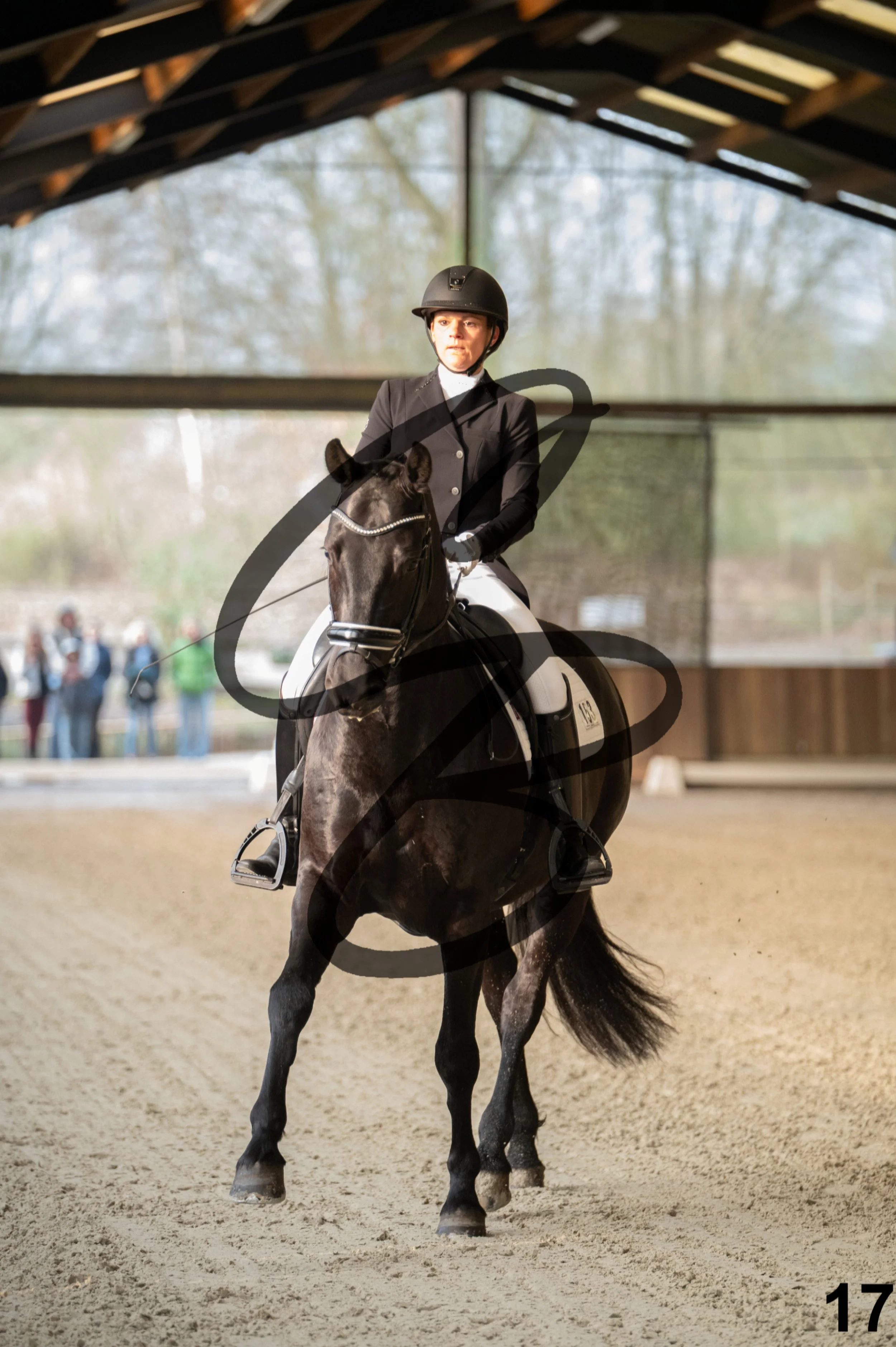 2026.03.22 - jeunes chevaux - 5ans-17.jpg