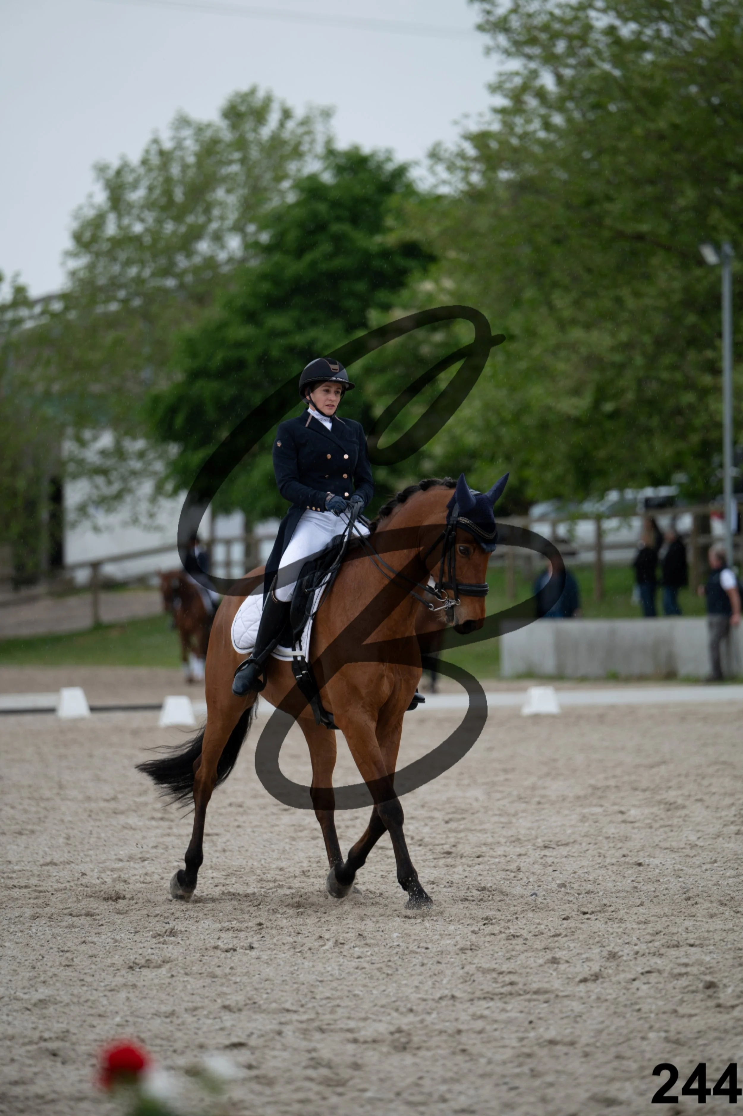 03052026-FLE_7217.jpg