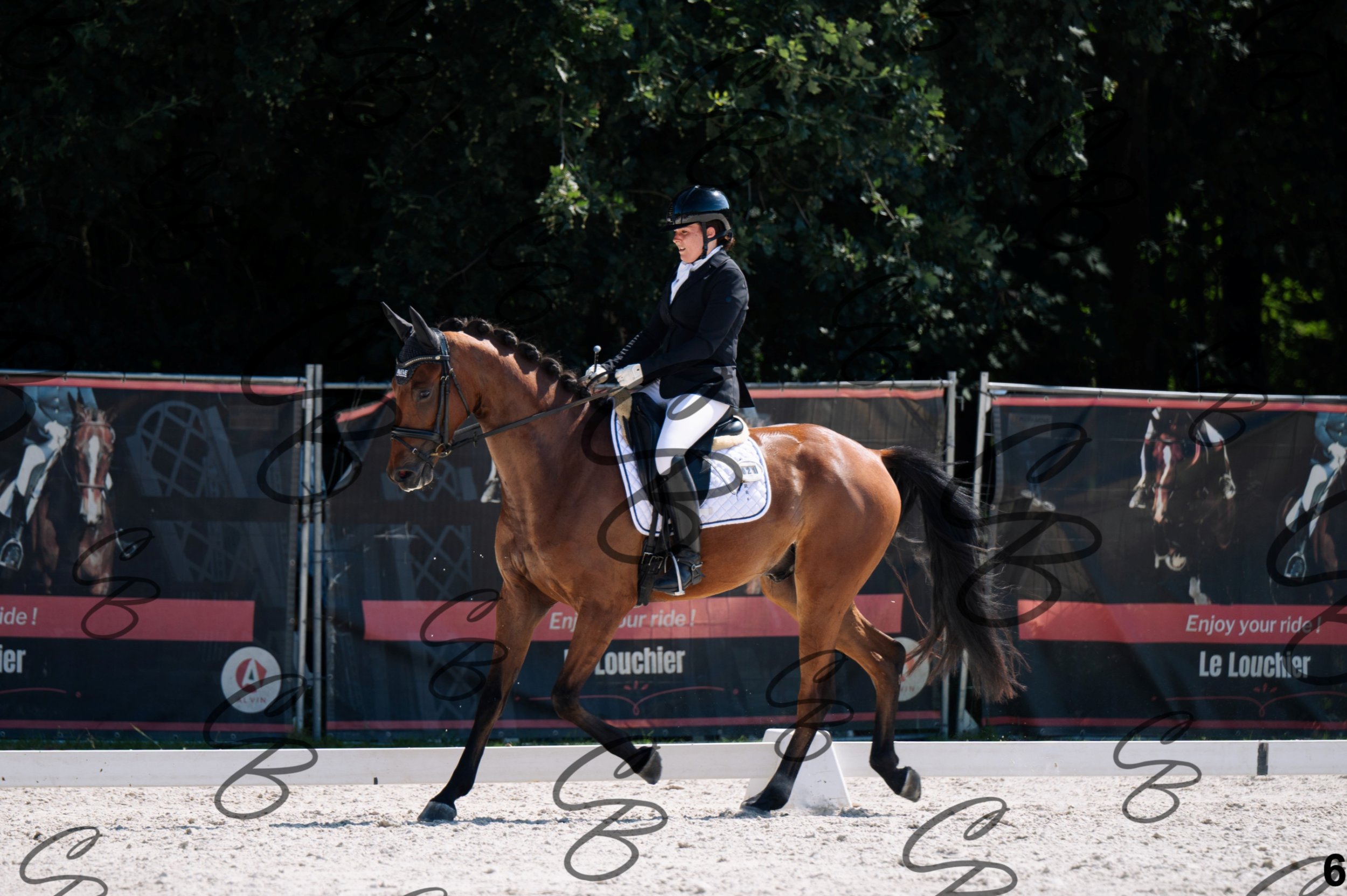2026.07.12 - Jeunes chevaux - FEI 4YH Final Test-6.jpg