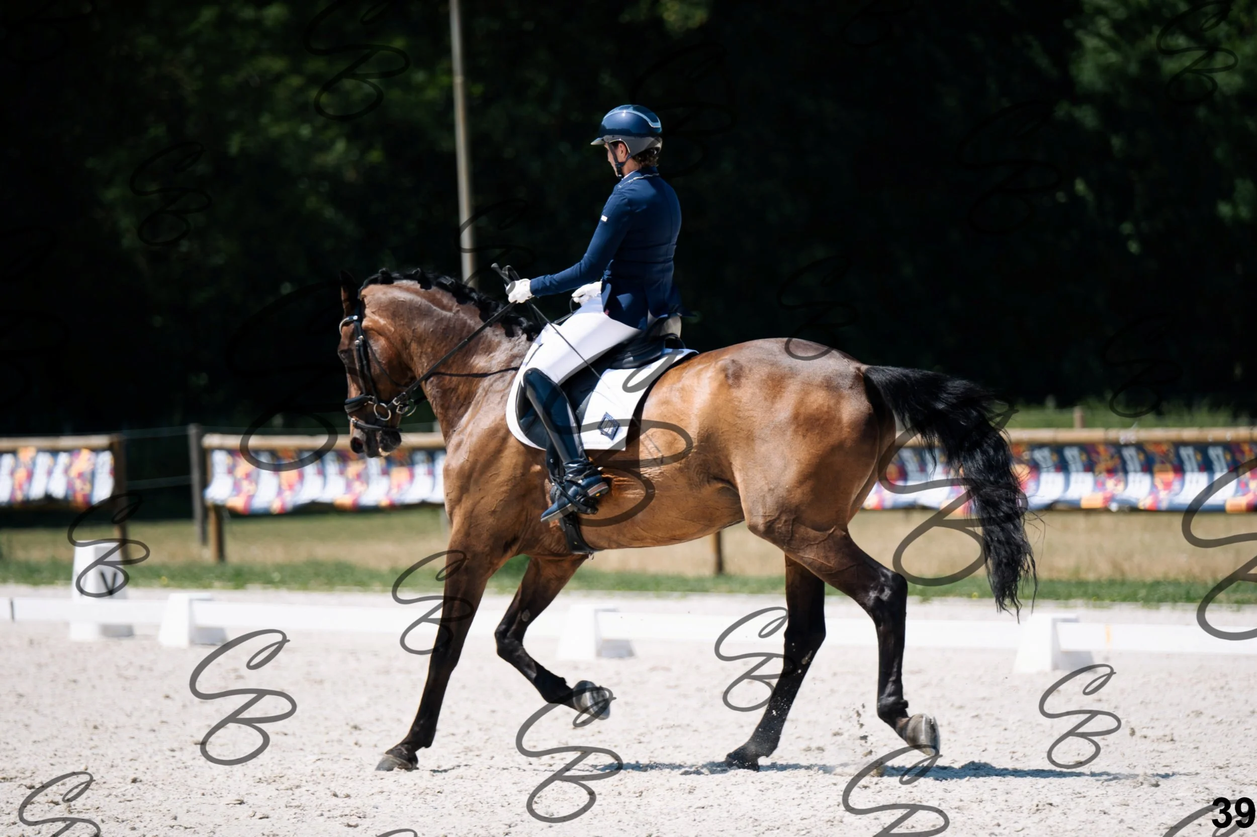 2026.07.12 - Niveau 5 - S3-39.jpg