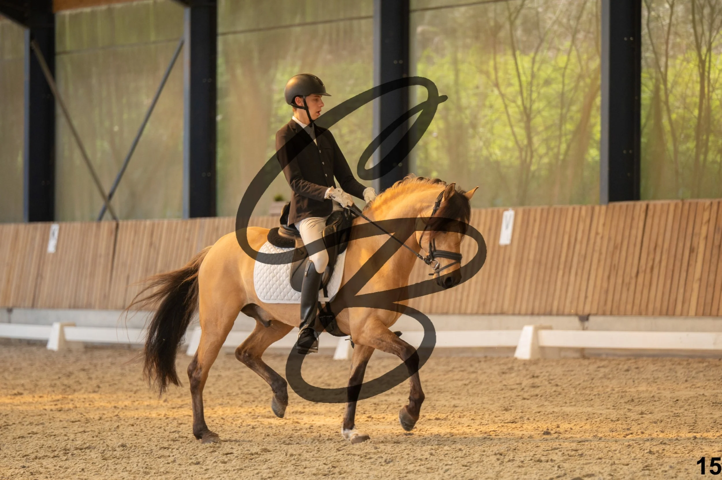 2026.03.22 - Niv3 - Pony individual test-15.jpg