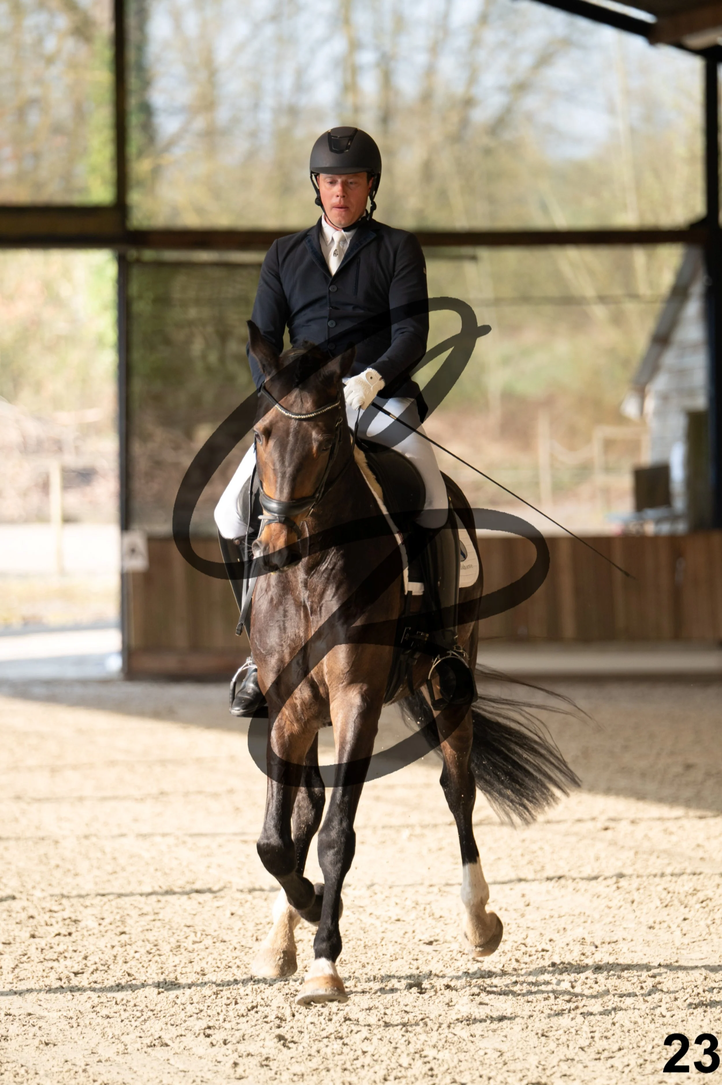 2026.03.22 - jeunes chevaux - 6ans-23.jpg