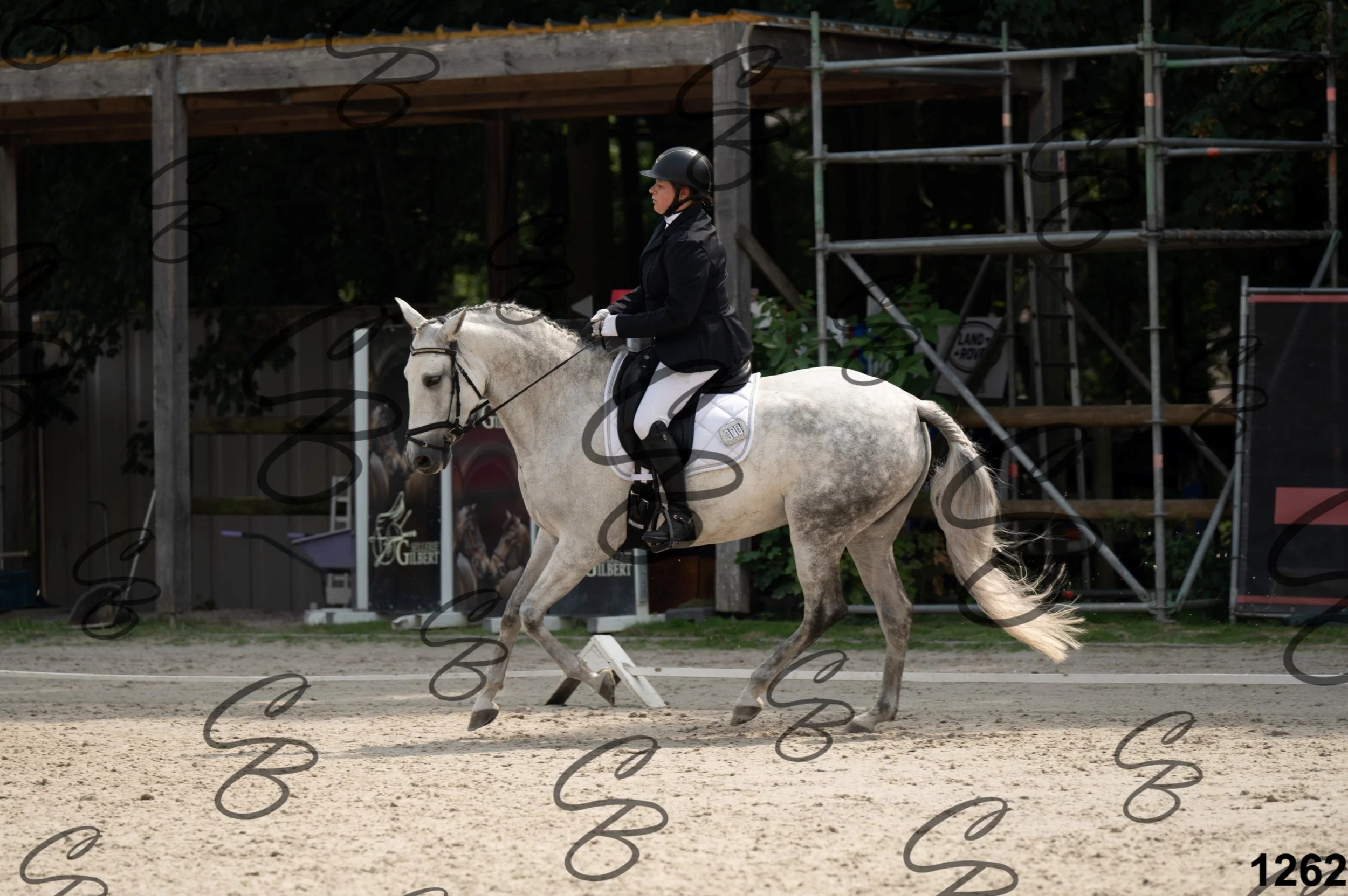 2026.08.15 - Louchier - GHO-1118.jpg