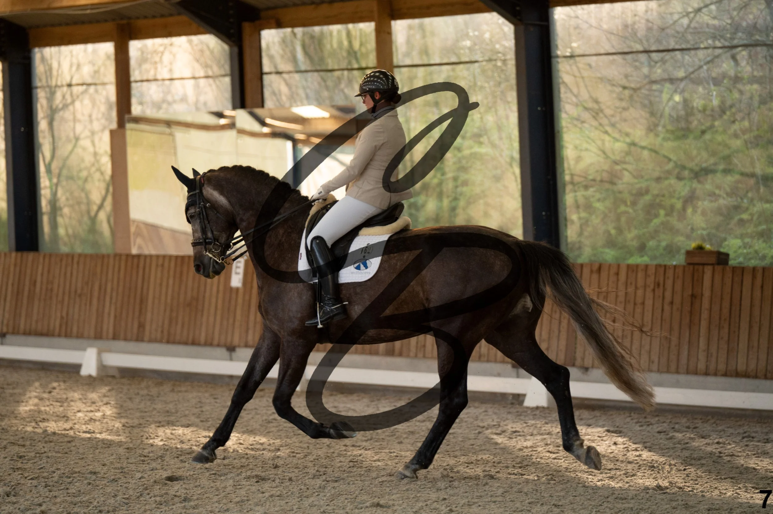 2026.03.22 - niv4.2-7.jpg