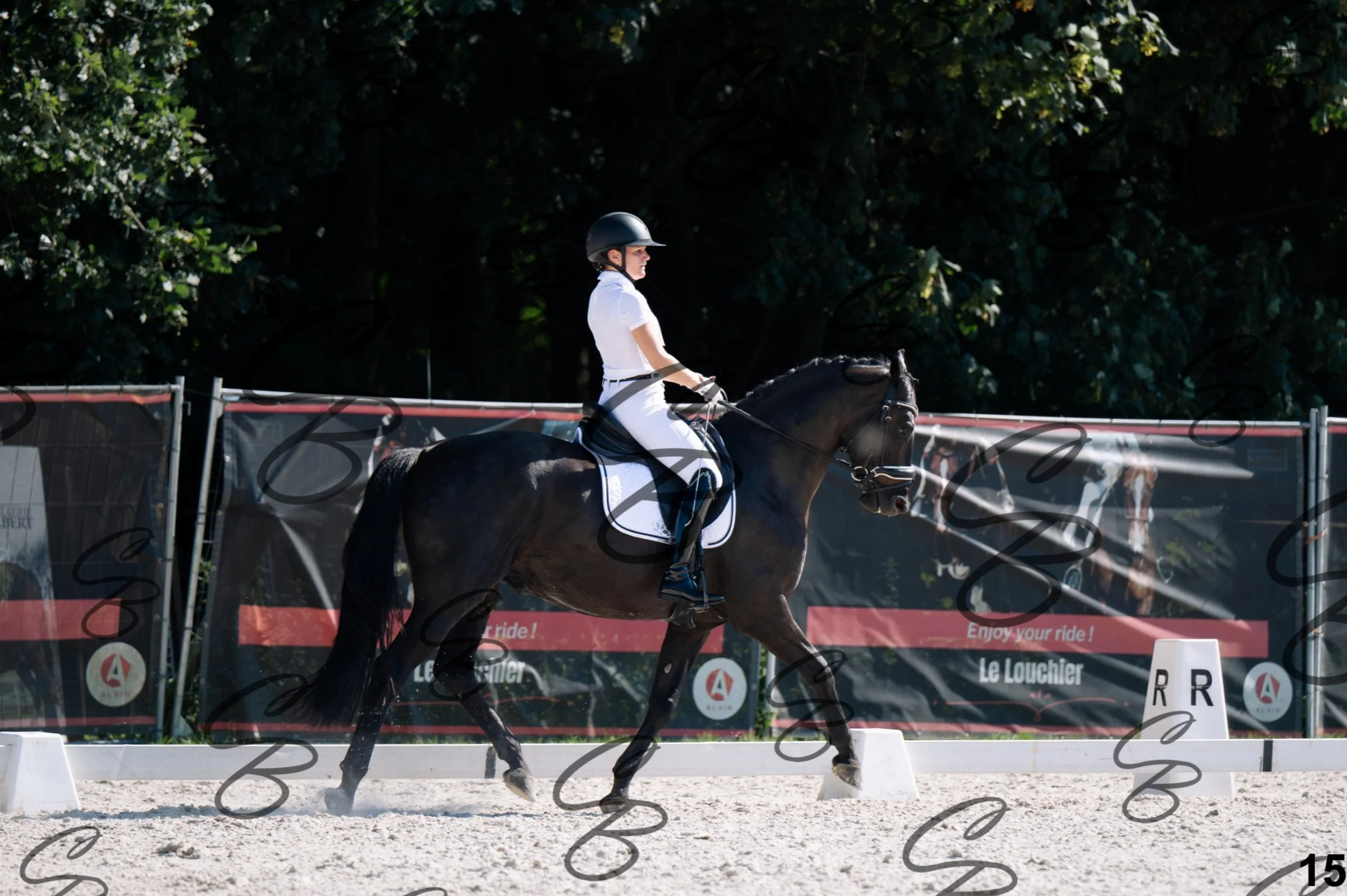 2026.07.12 - Jeunes chevaux - FEI 5YH Preliminary Test-15.jpg