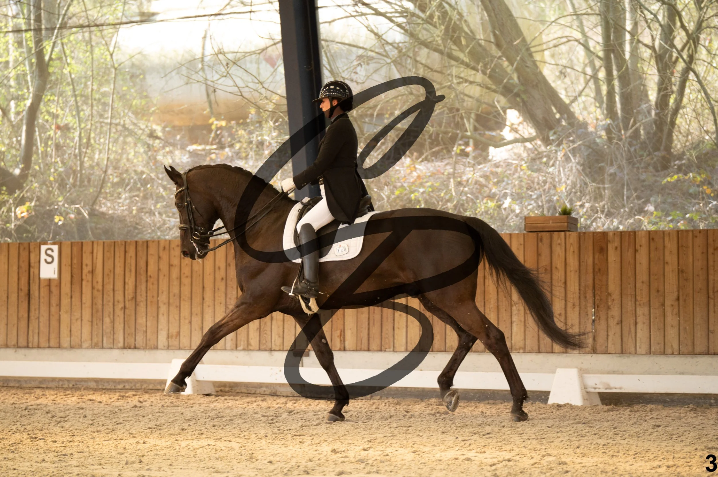 2026.03.22 - grand prix-3.jpg