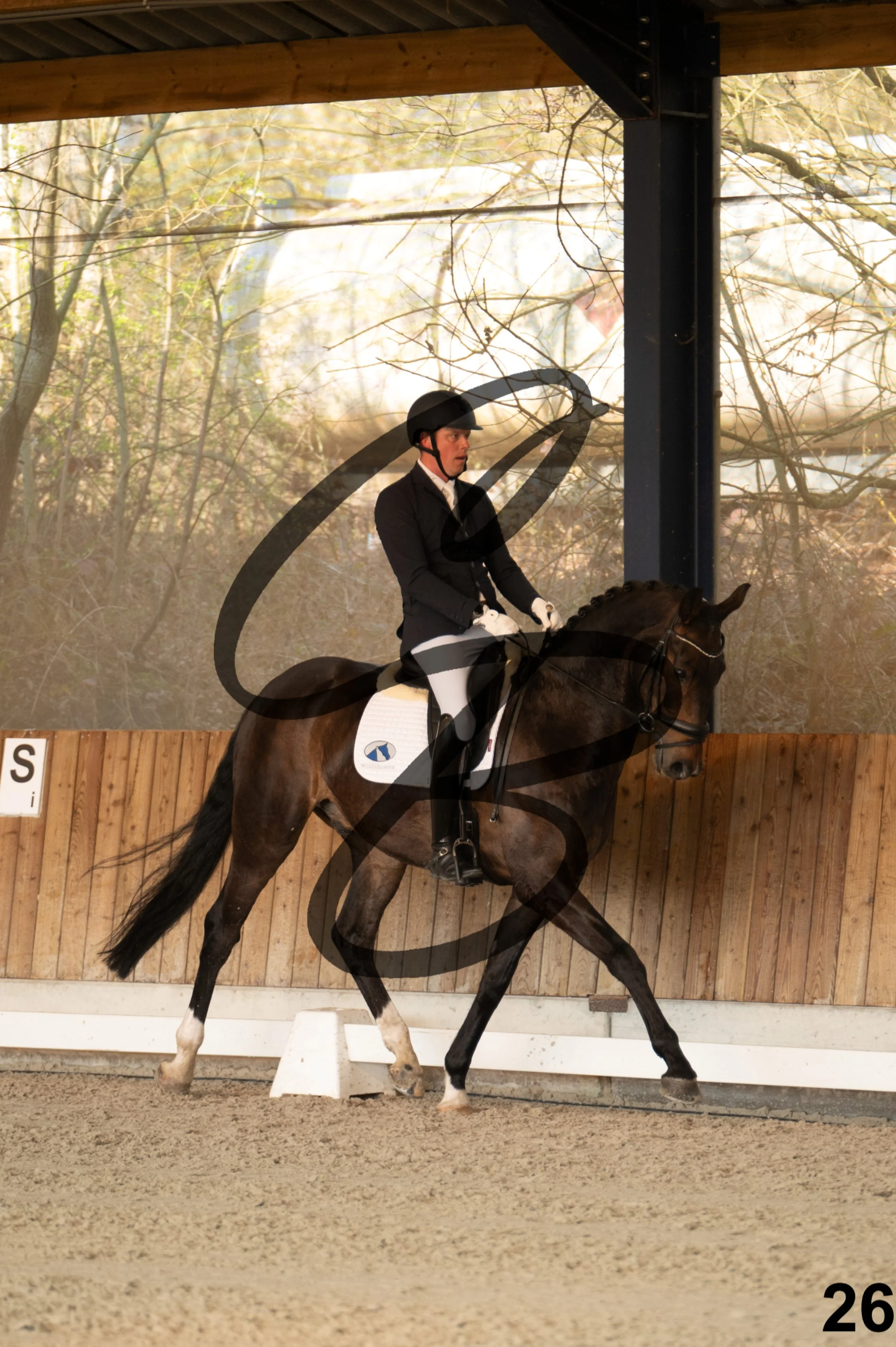 2026.03.22 - jeunes chevaux - 6ans-26.jpg