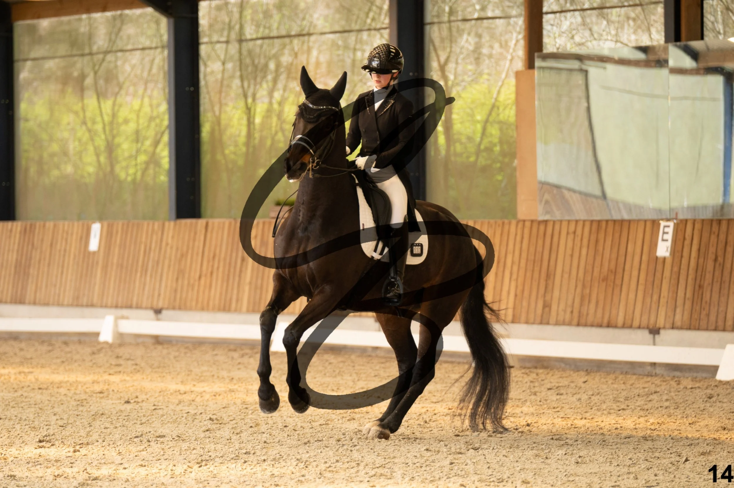 2026.03.22 - Niv5 - Young rider team-14.jpg