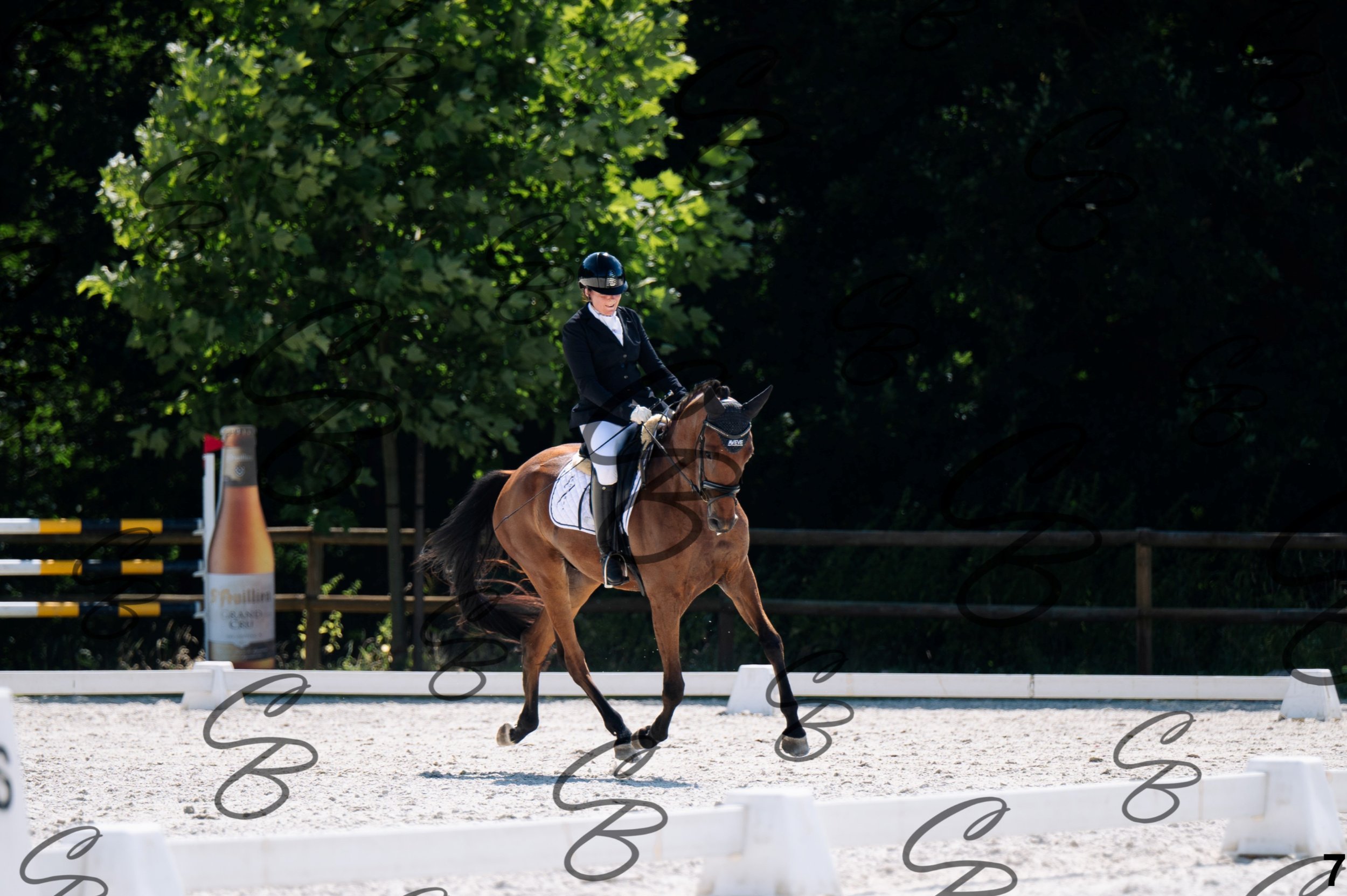 2026.07.12 - Jeunes chevaux - FEI 4YH Final Test-7.jpg