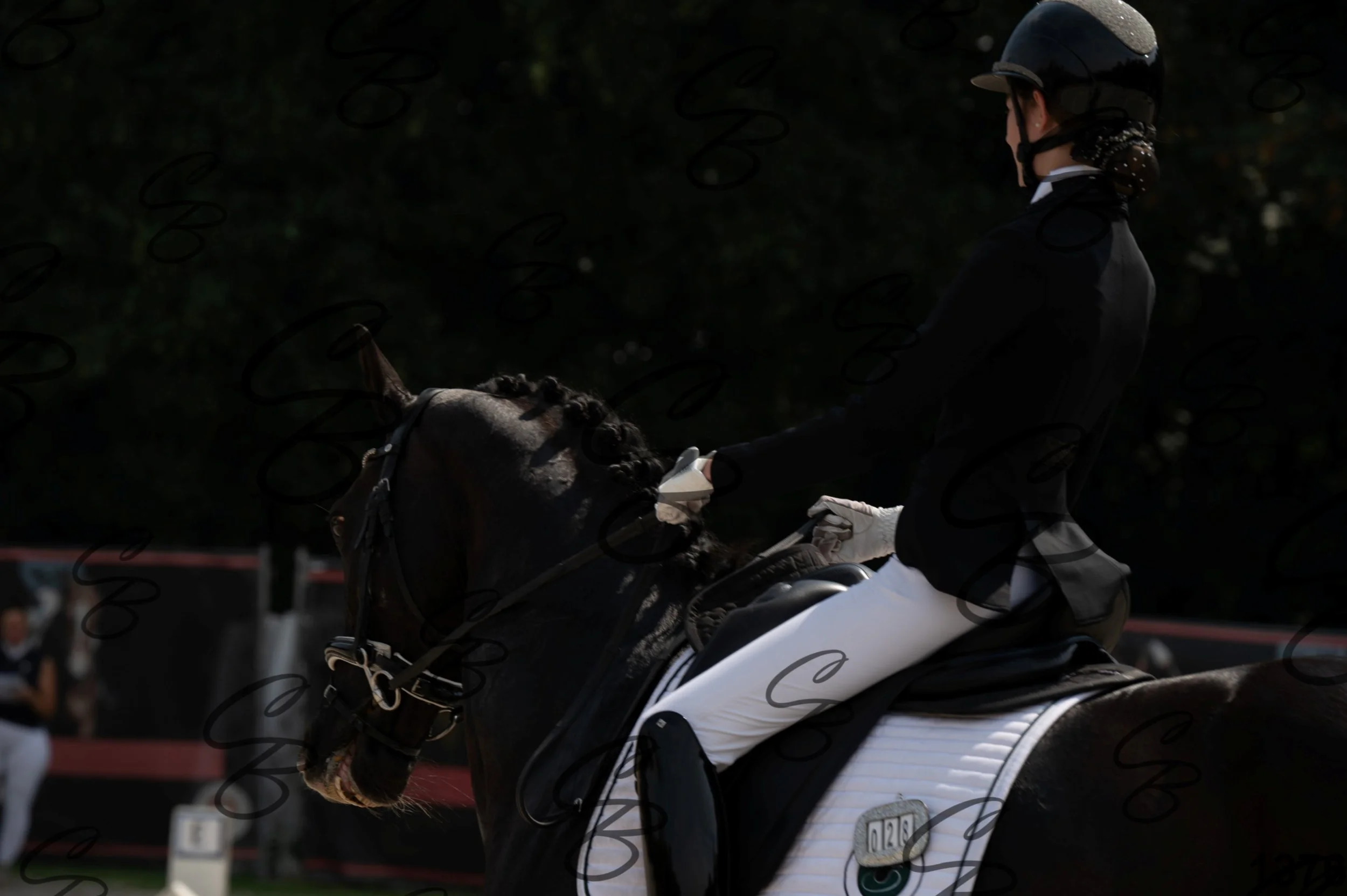 2026.08.15 - Louchier - GHO-1428.jpg