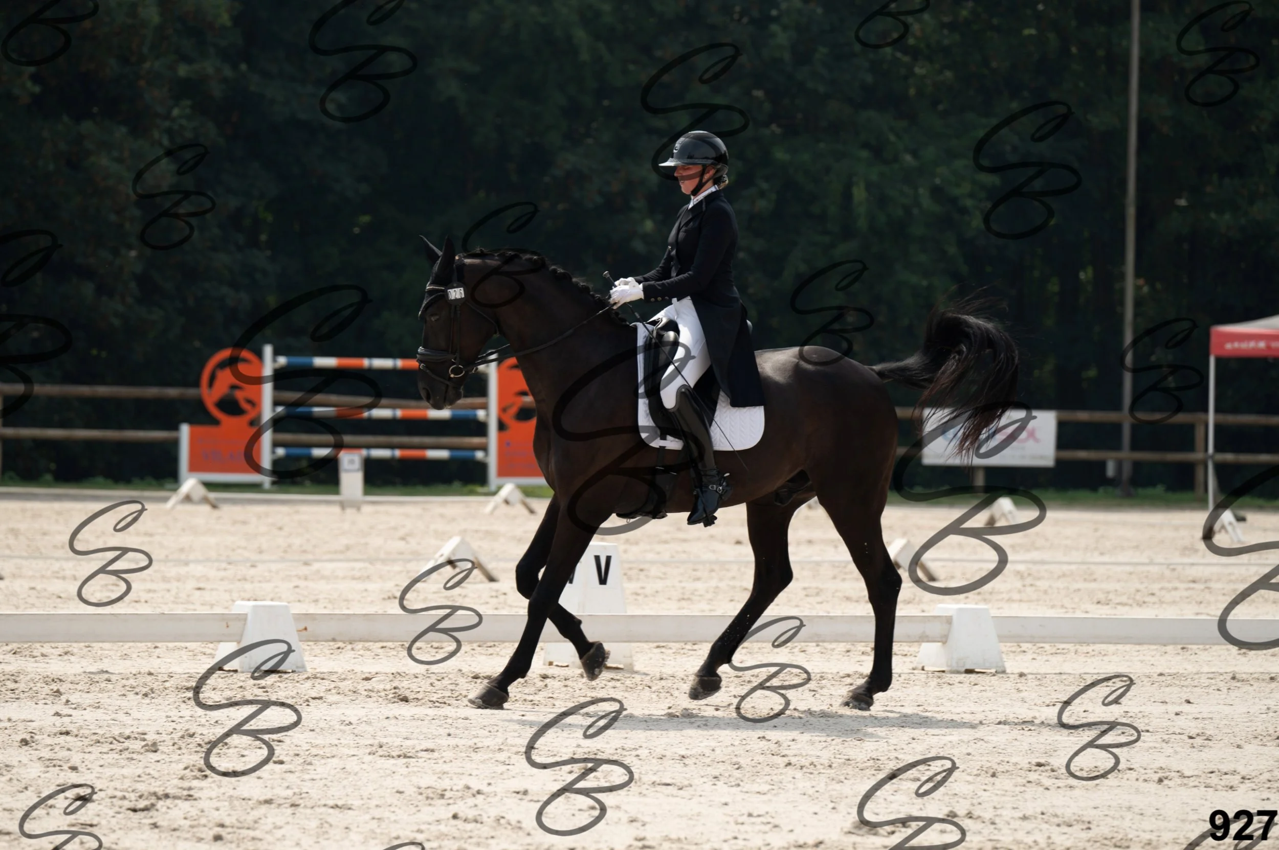 2026.08.15 - Louchier - GHO-1028.jpg