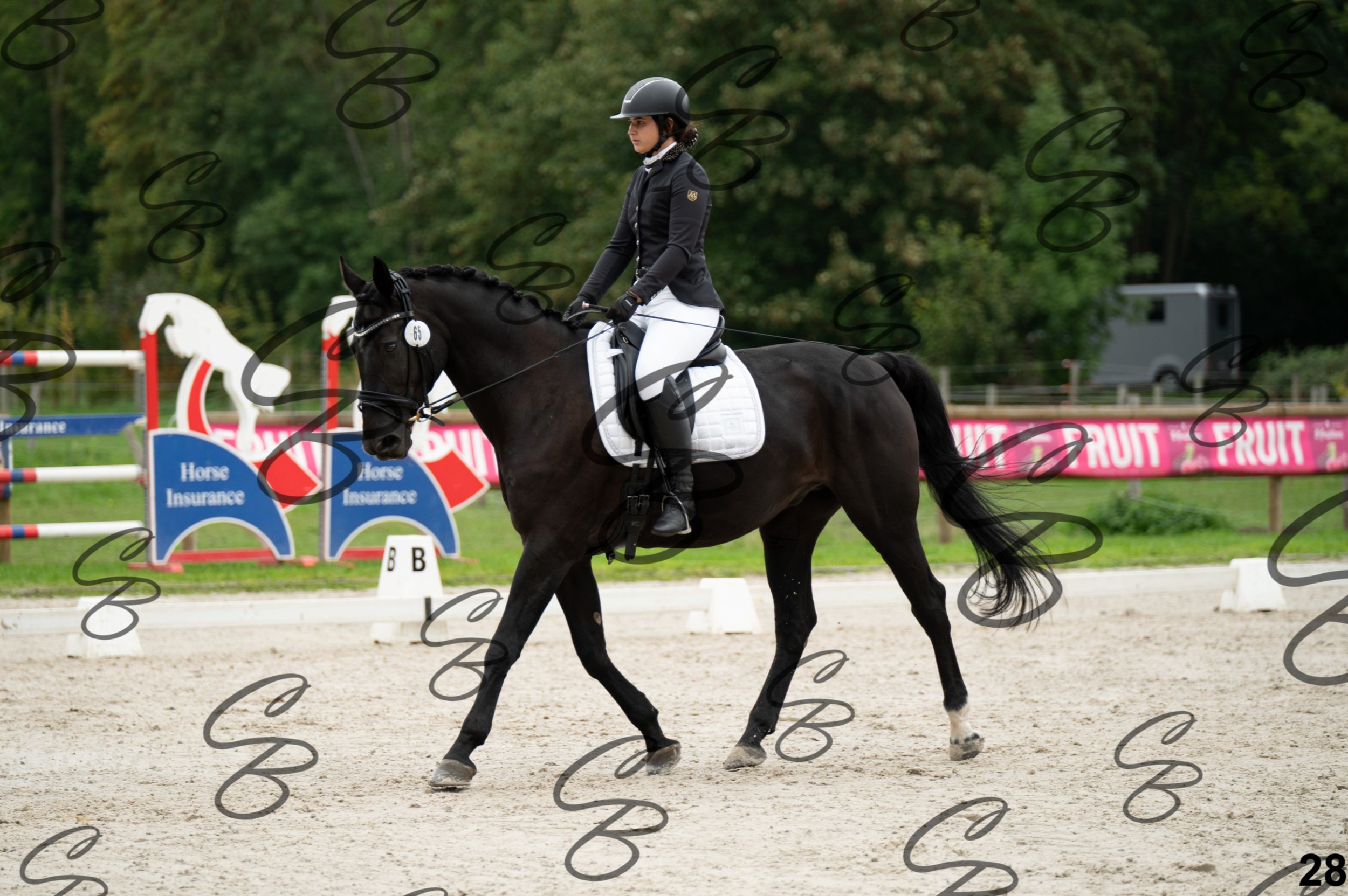 2026.09.13 - Reka-28.jpg