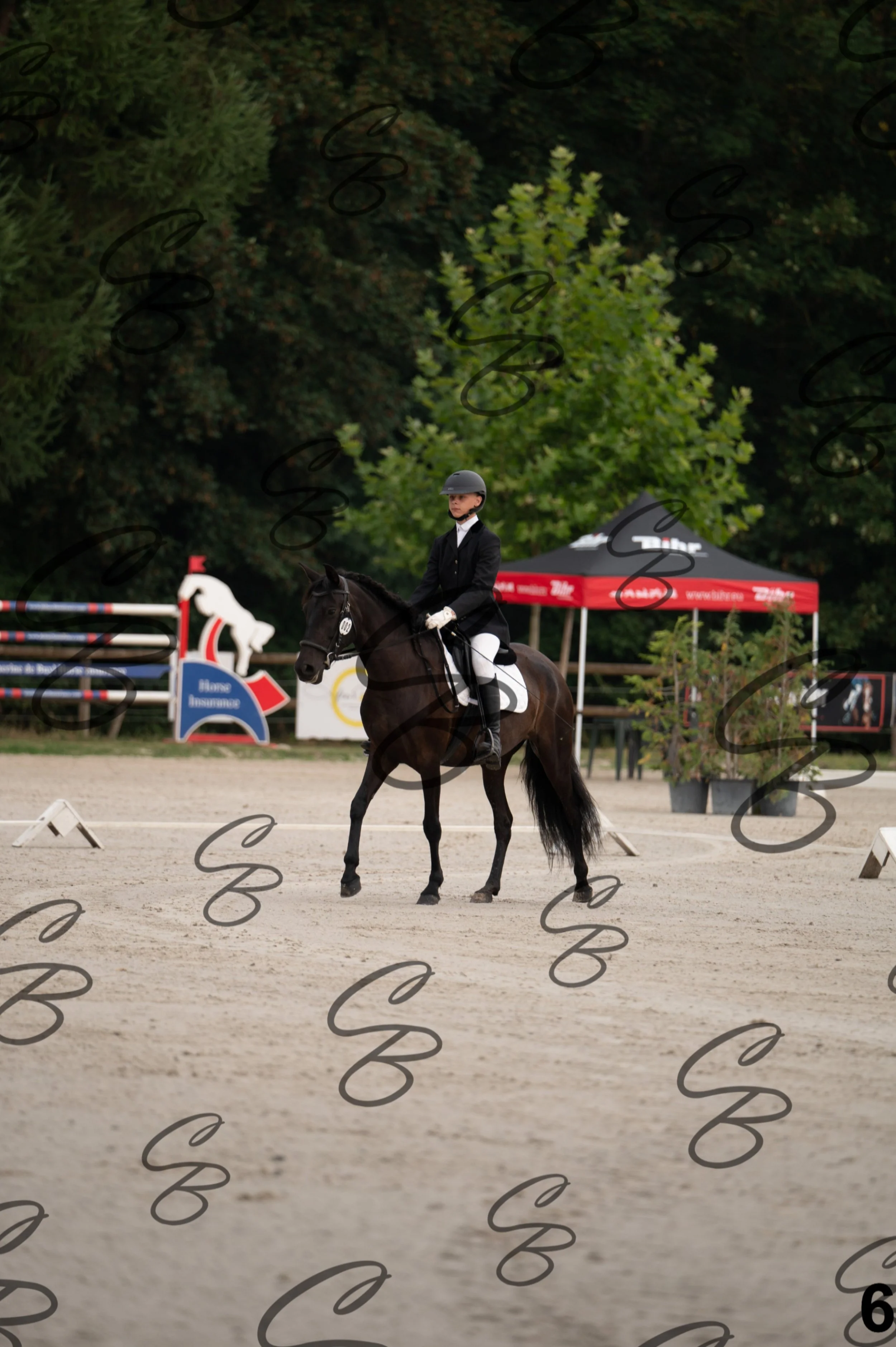 2026.08.15 - Louchier - GHO-11.jpg