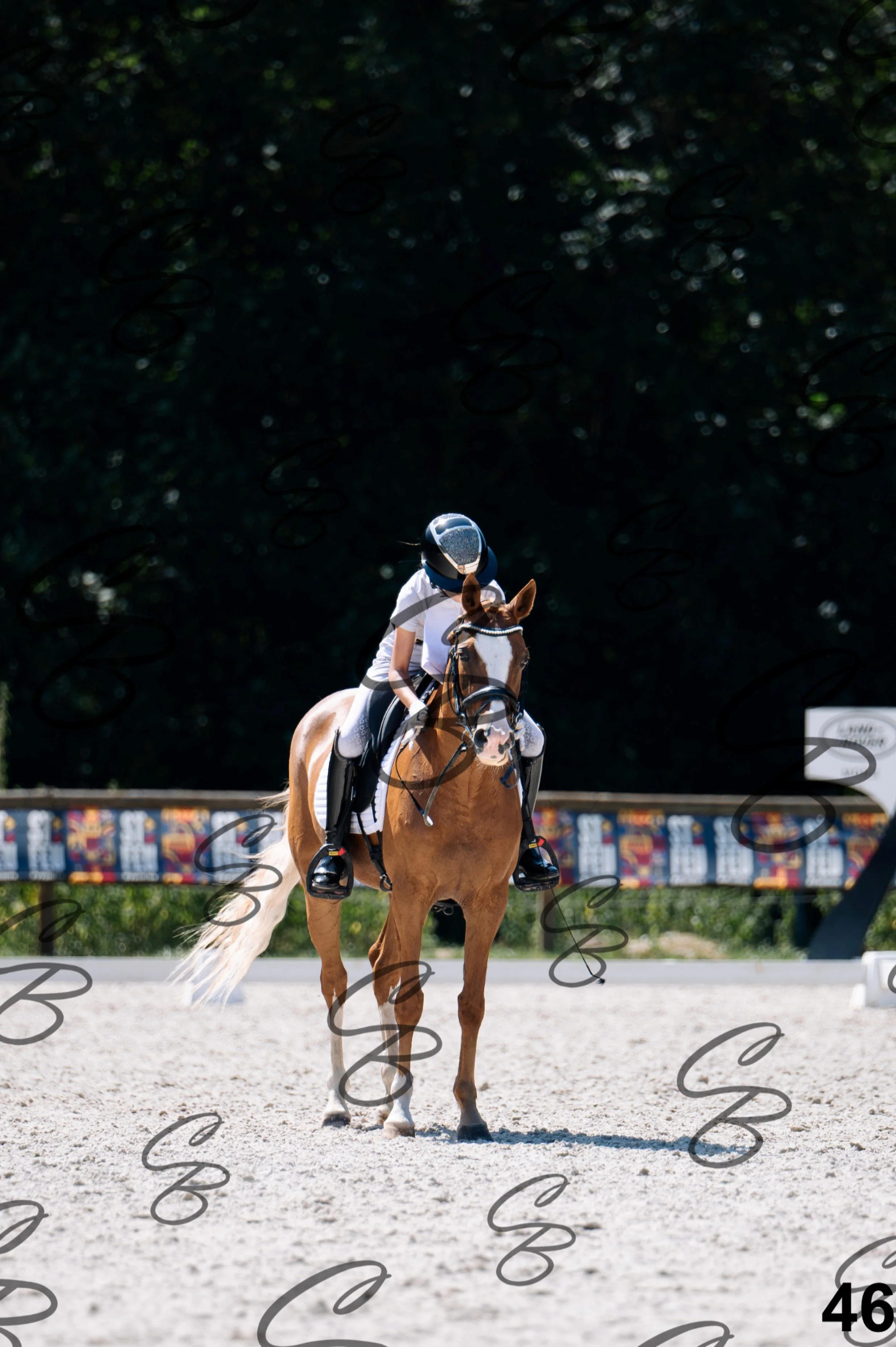 2026.07.12 - Niveau 2 - N2.4-46.jpg