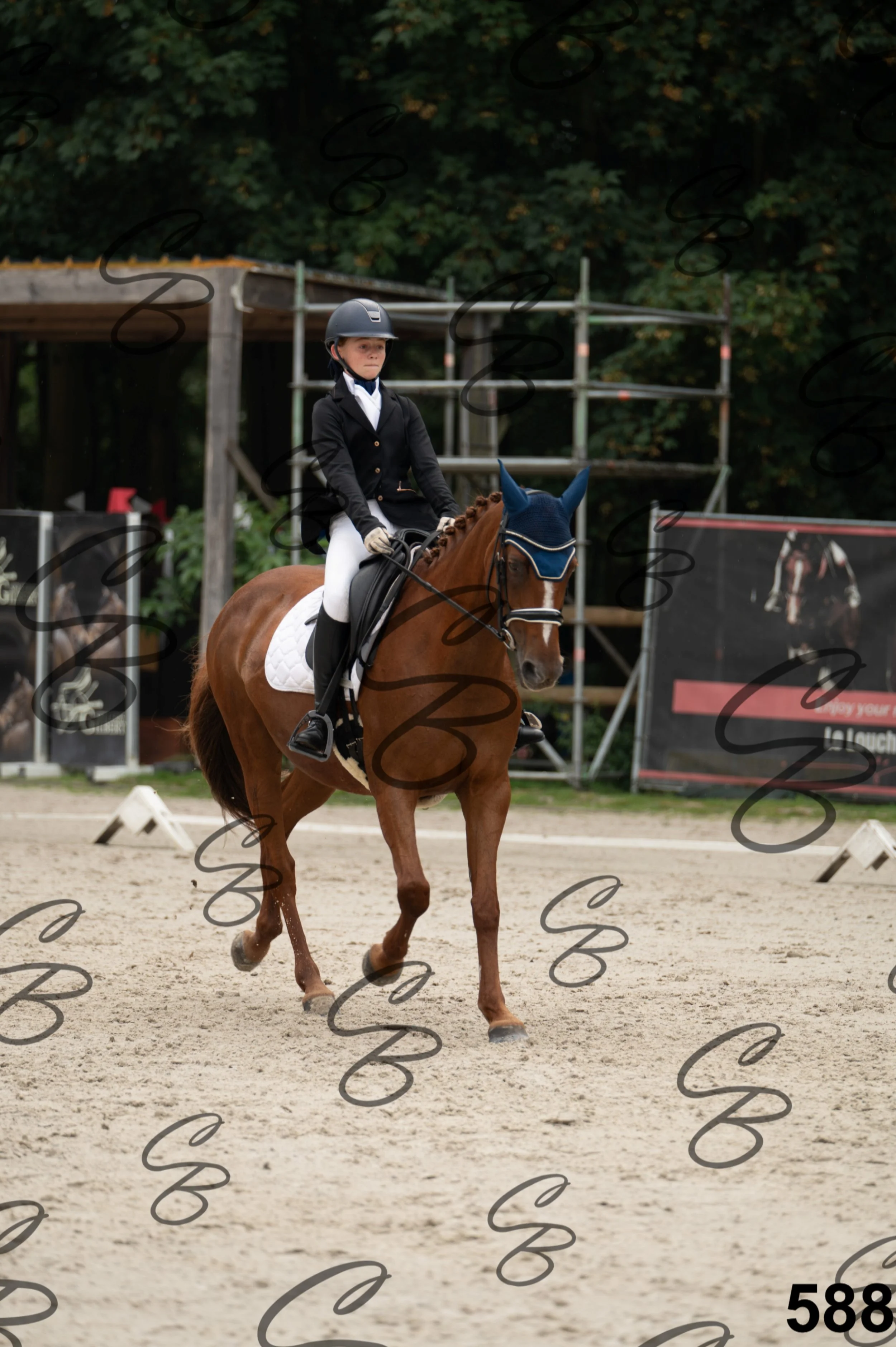 2026.08.15 - Louchier - GHO-599.jpg