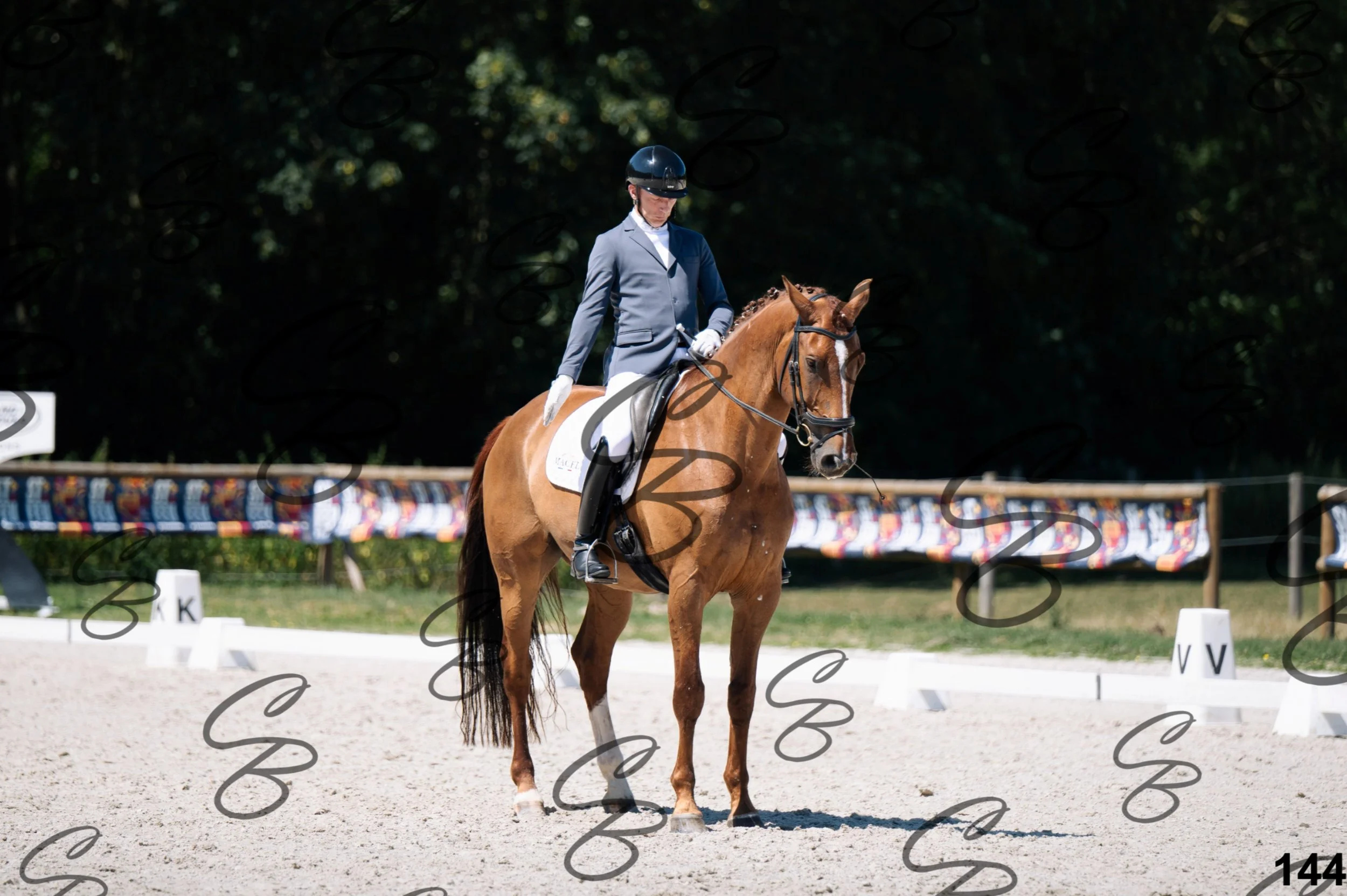 2026.07.12 - Niveau 4 - N4.3-144.jpg