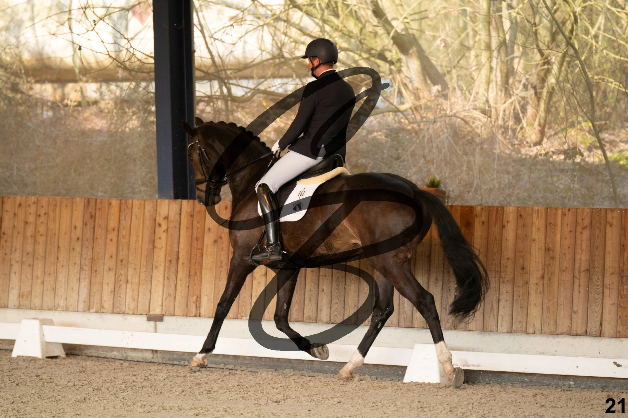 2026.03.22 - jeunes chevaux - 6ans-21.jpg