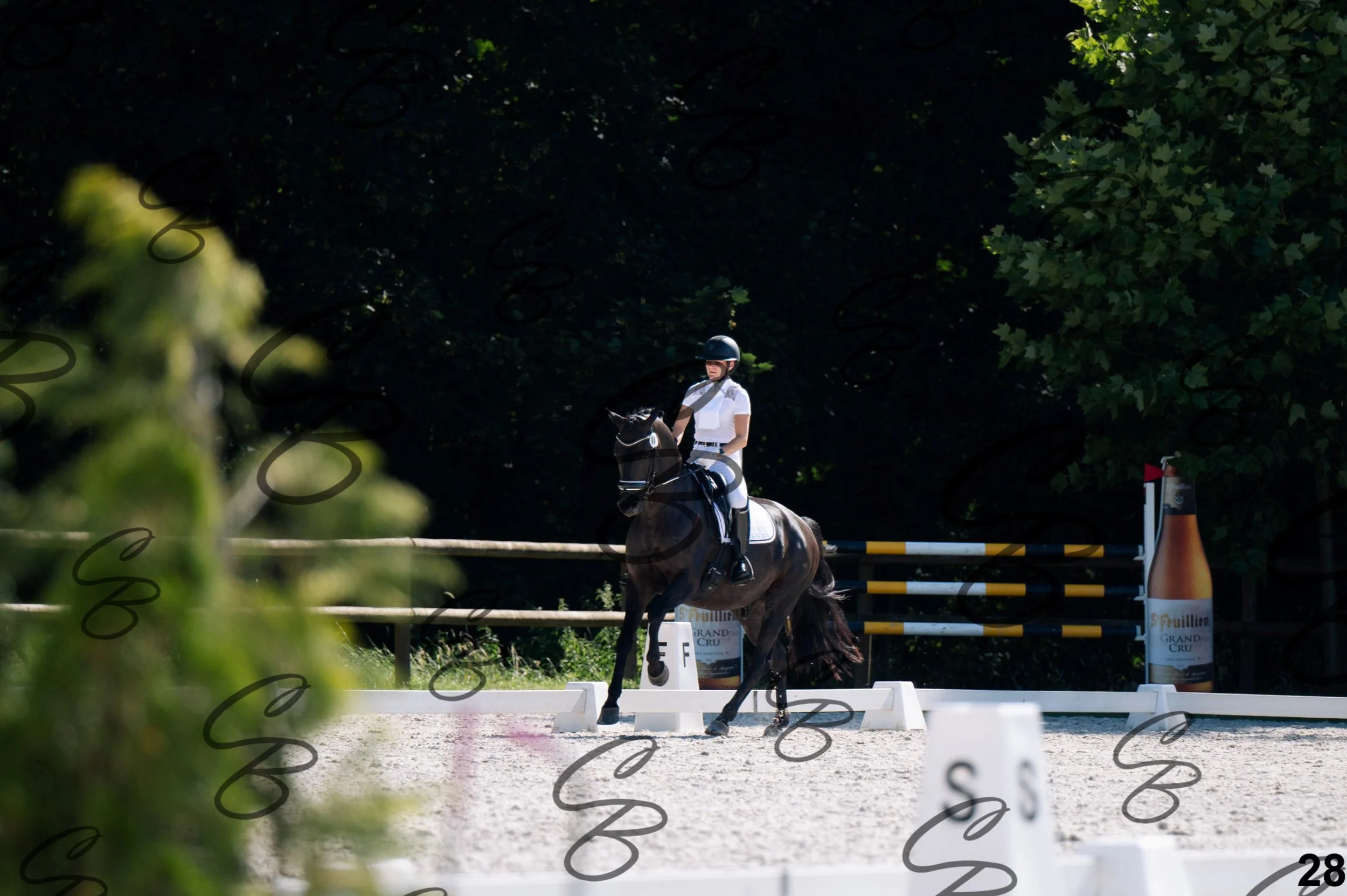 2026.07.12 - Jeunes chevaux - FEI 5YH Preliminary Test-28.jpg