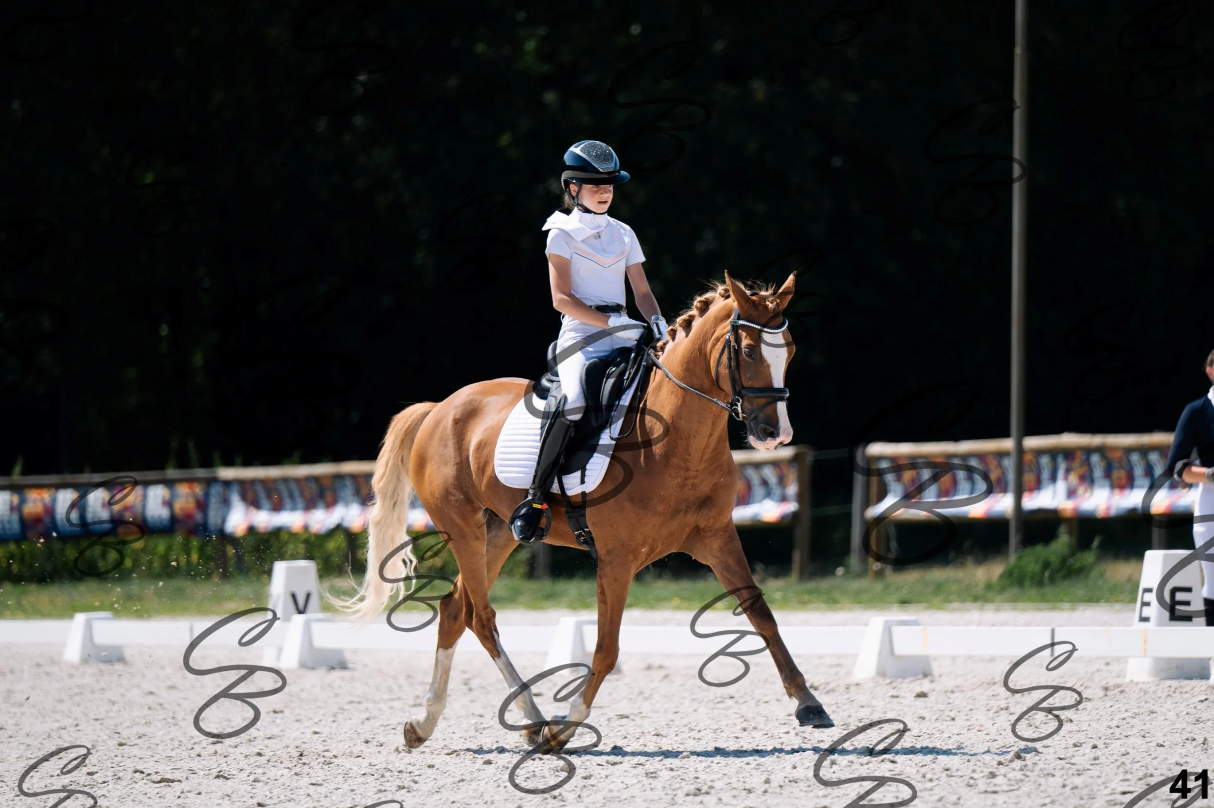 2026.07.12 - Niveau 2 - N2.4-41.jpg