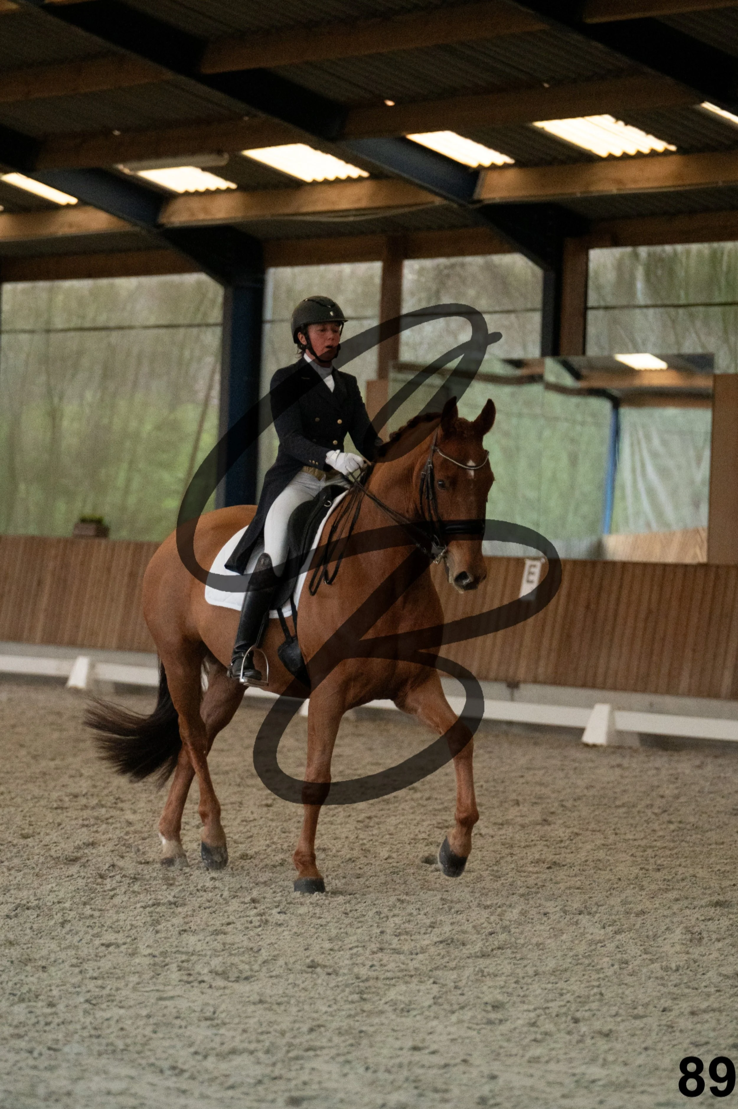 2026.03.22 - niv5 - saint georges-89.jpg