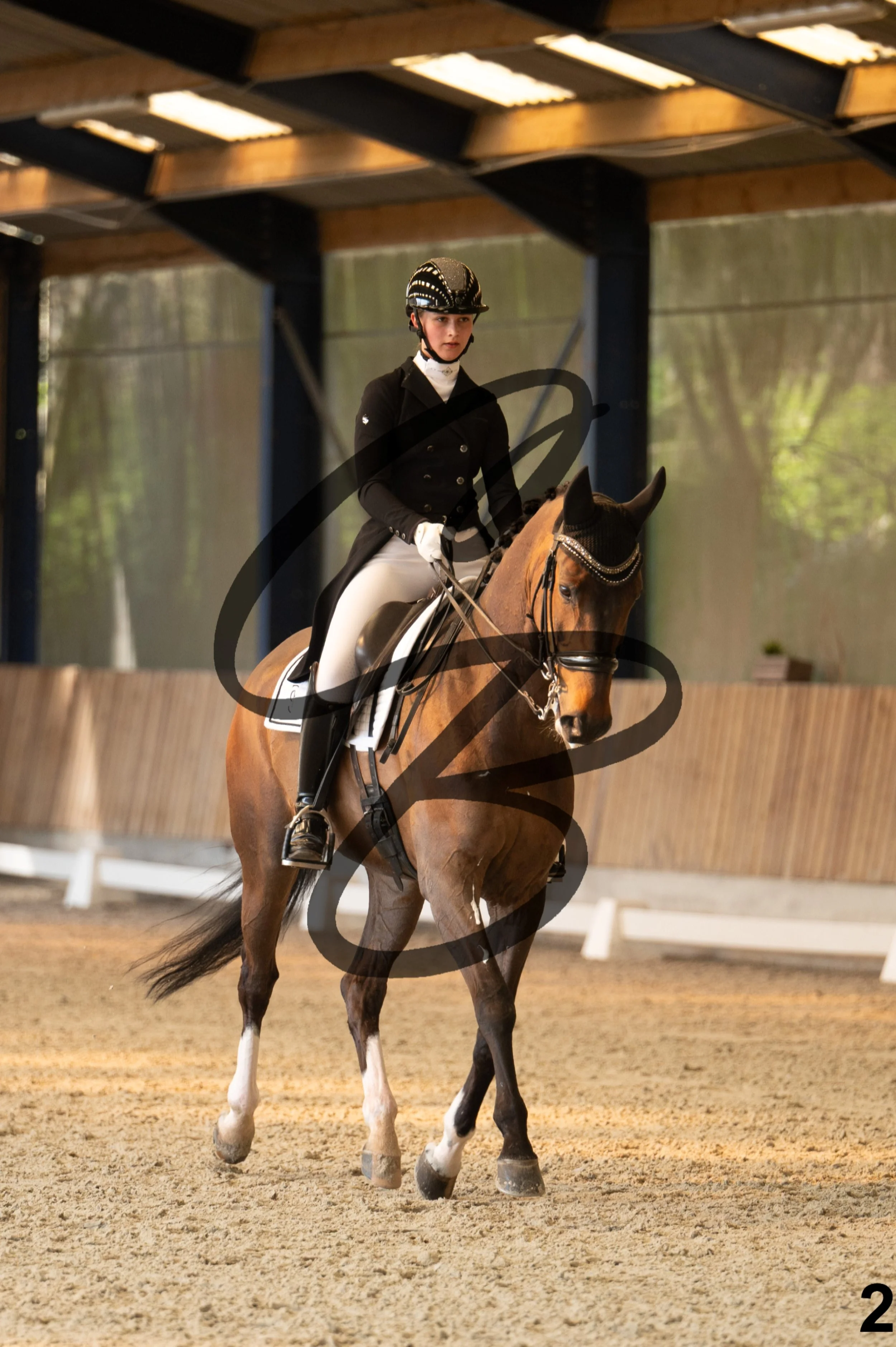 2026.03.22 - Niv4 - junior team test-2.jpg