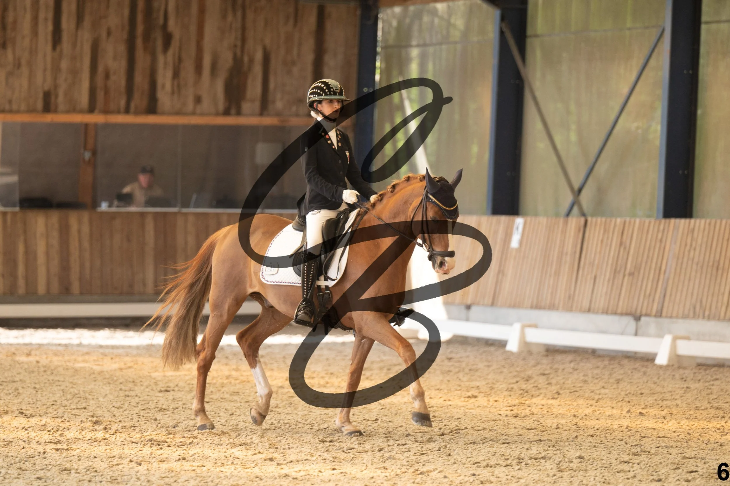 2026.03.22 - Niv3 - Pony individual test-6.jpg