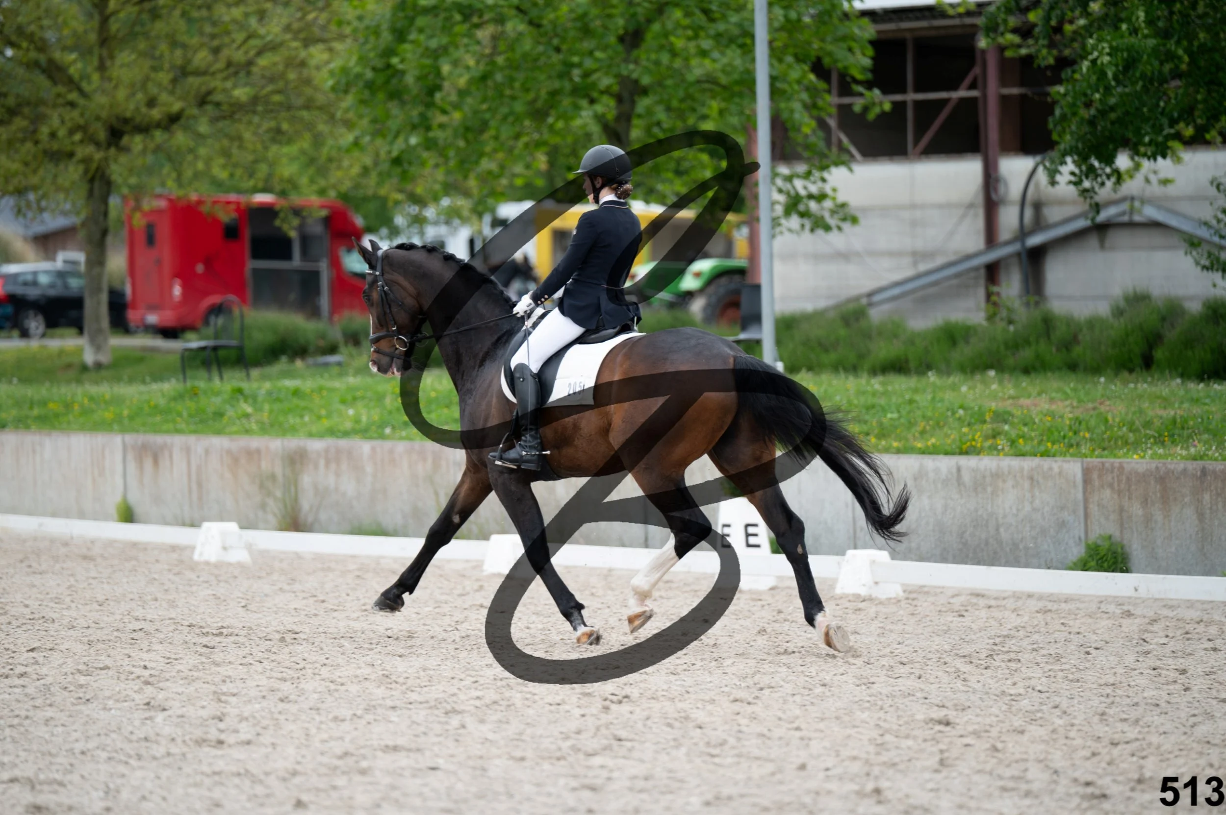 03052026-FLE_8803.jpg