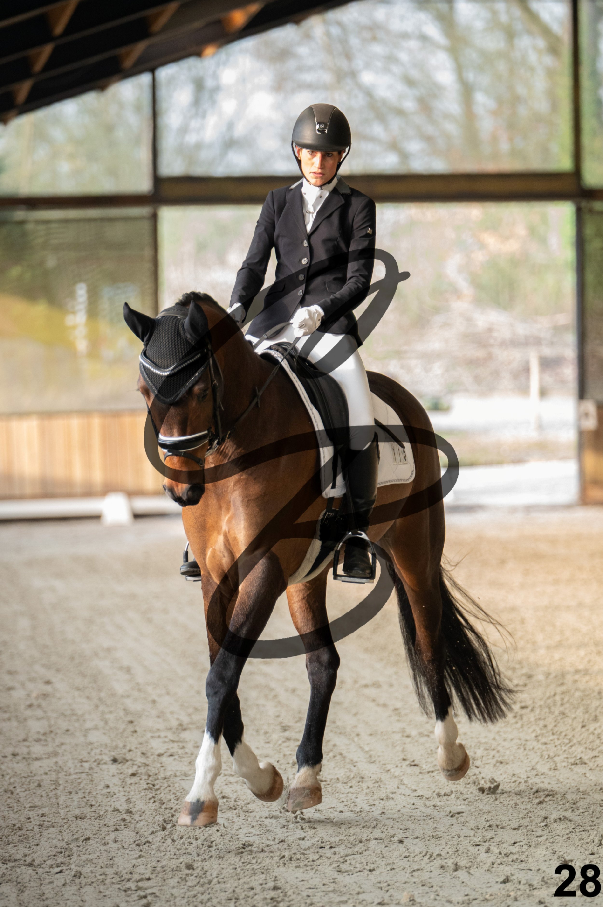 2026.03.22 - jeunes chevaux - 5ans-28.jpg