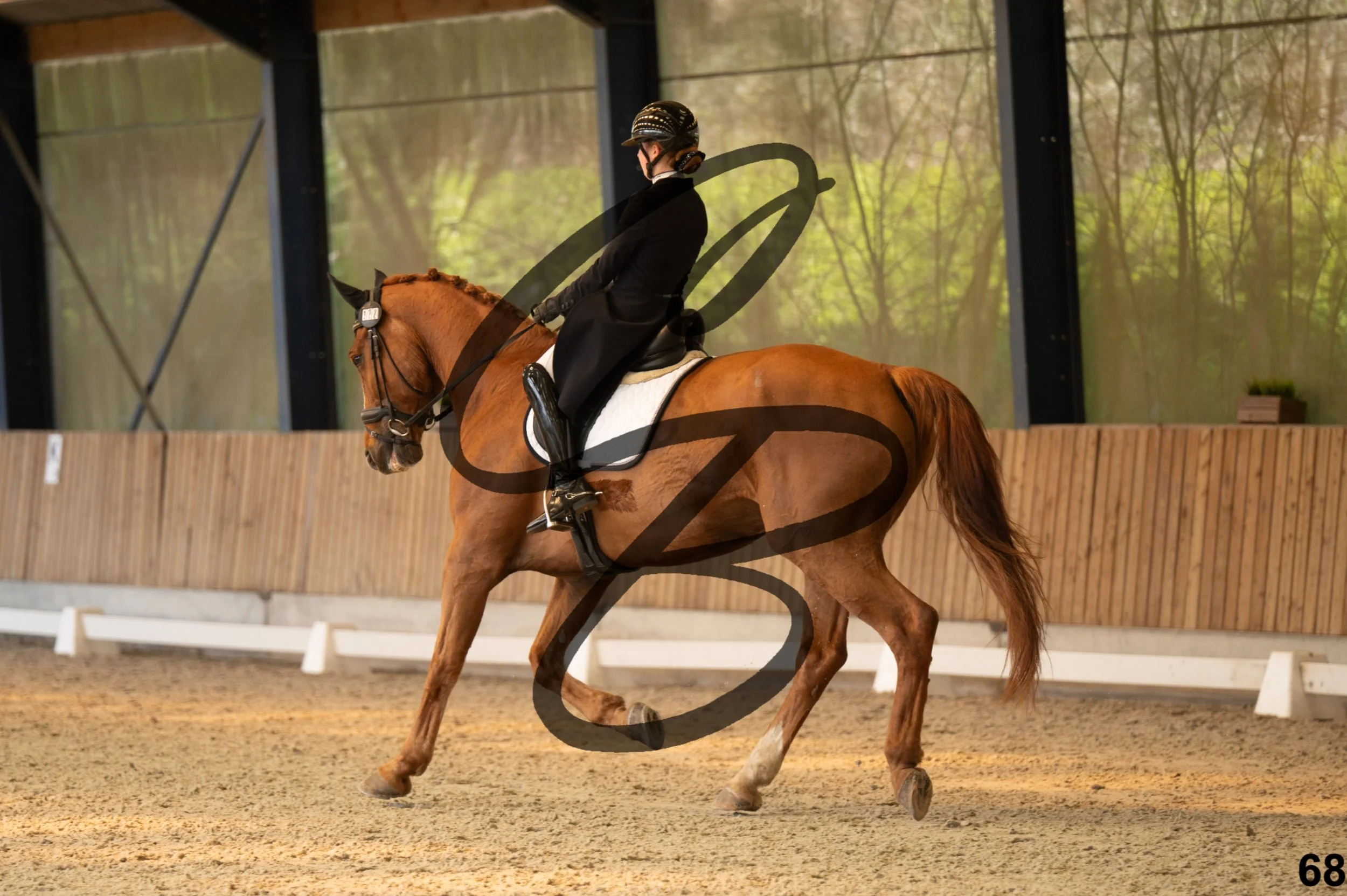 2026.03.22 - Niv4 - junior team test-68.jpg