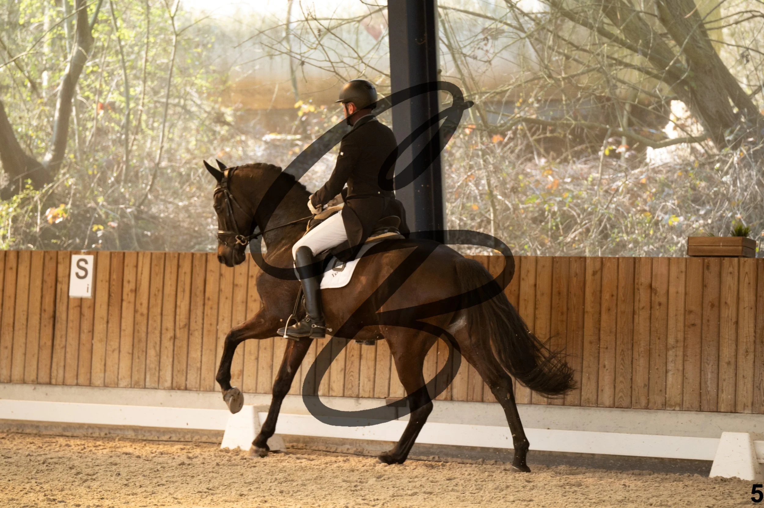 2026.03.22 - 7 ans - jeunes chevaux-22.jpg