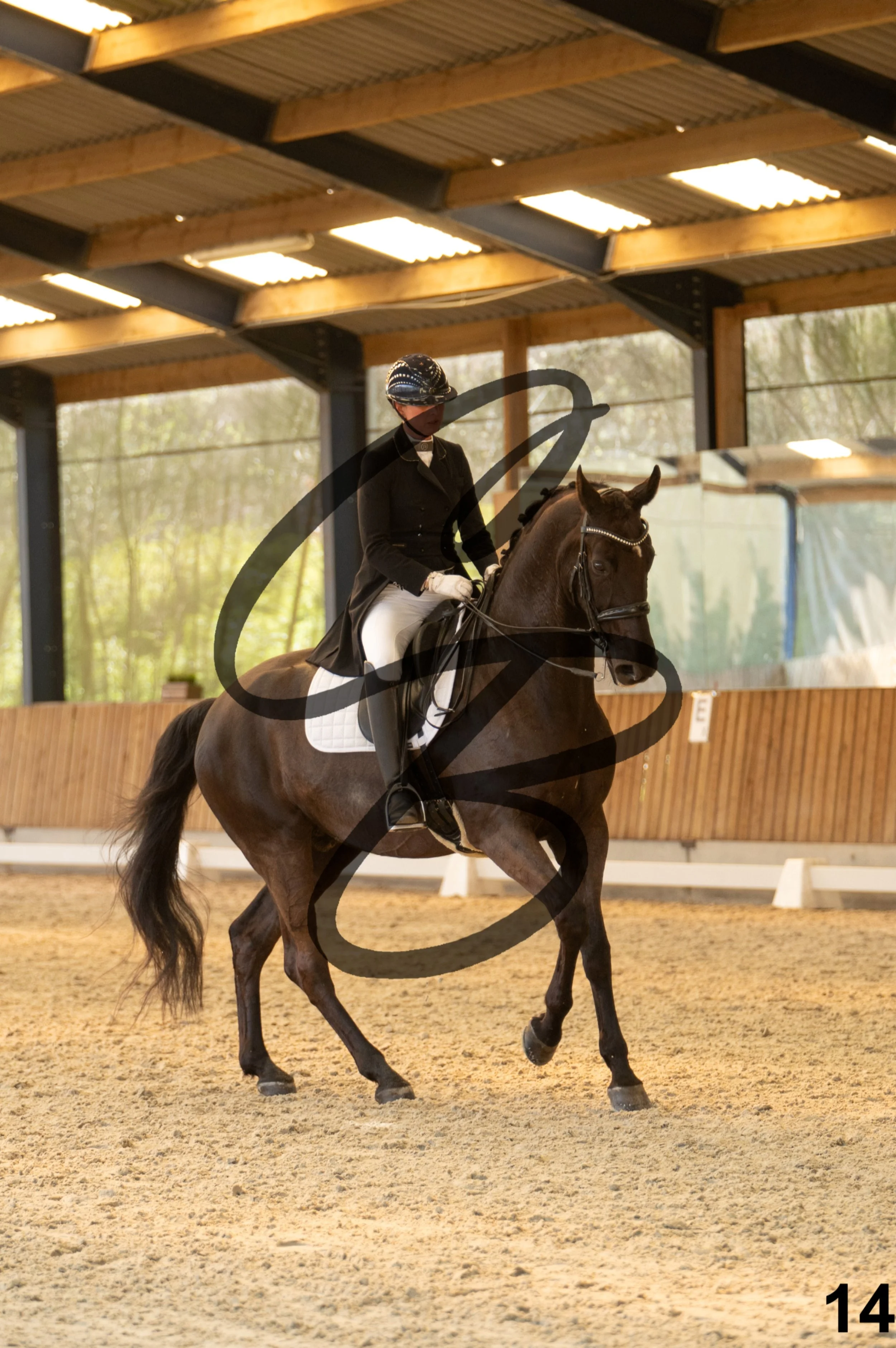 2026.03.22 - grand prix-14.jpg