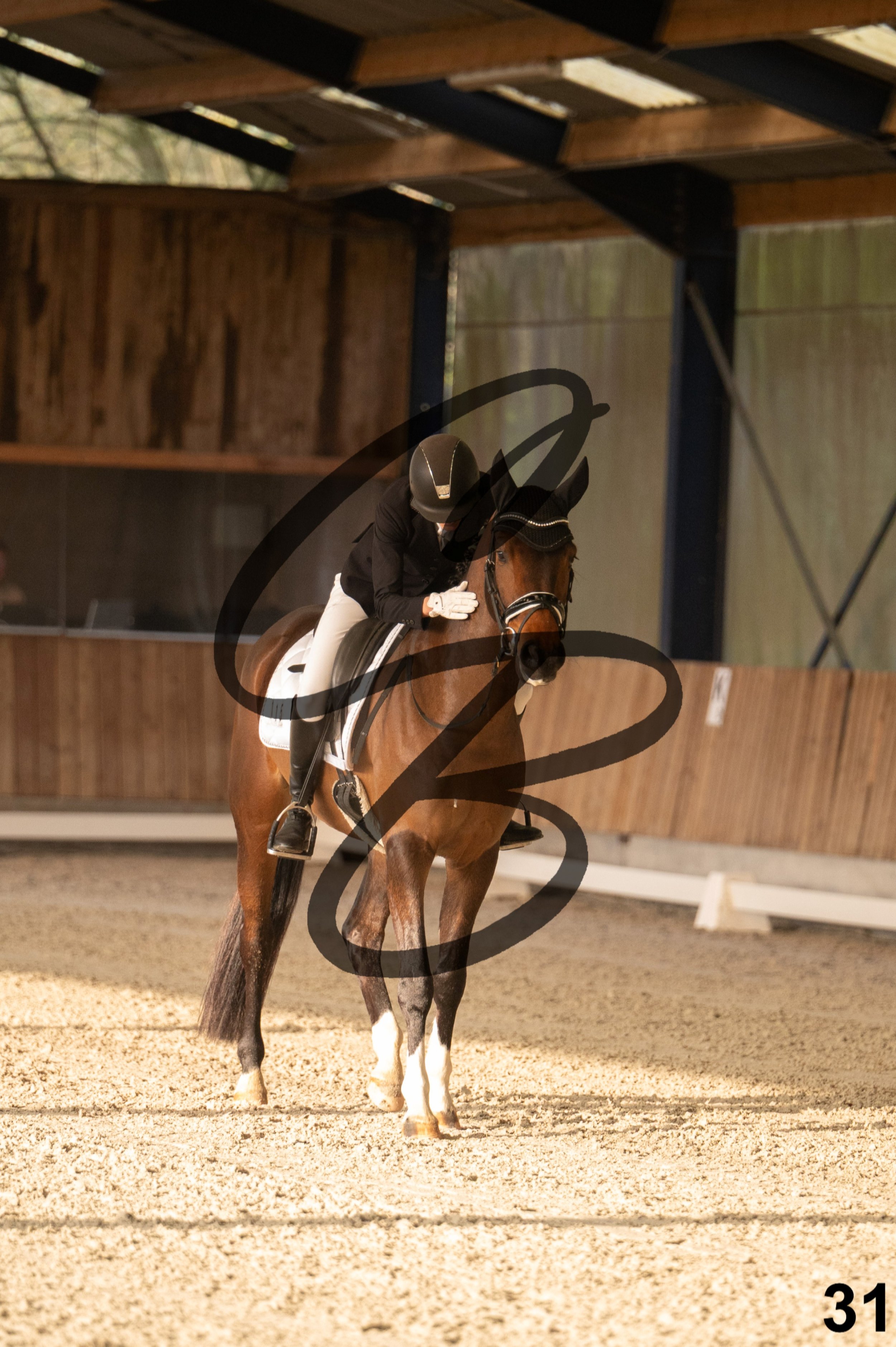 2026.03.22 - jeunes chevaux - 5ans-31.jpg