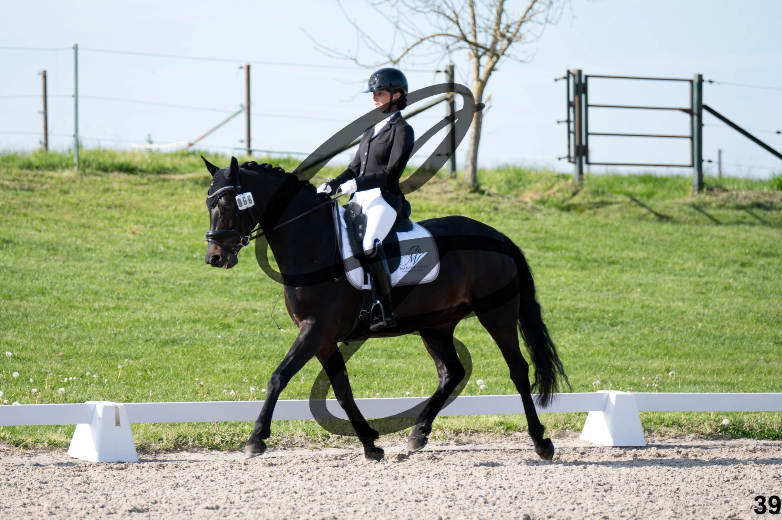 2026.04.26 - Manon - Grand Reng-39.jpg