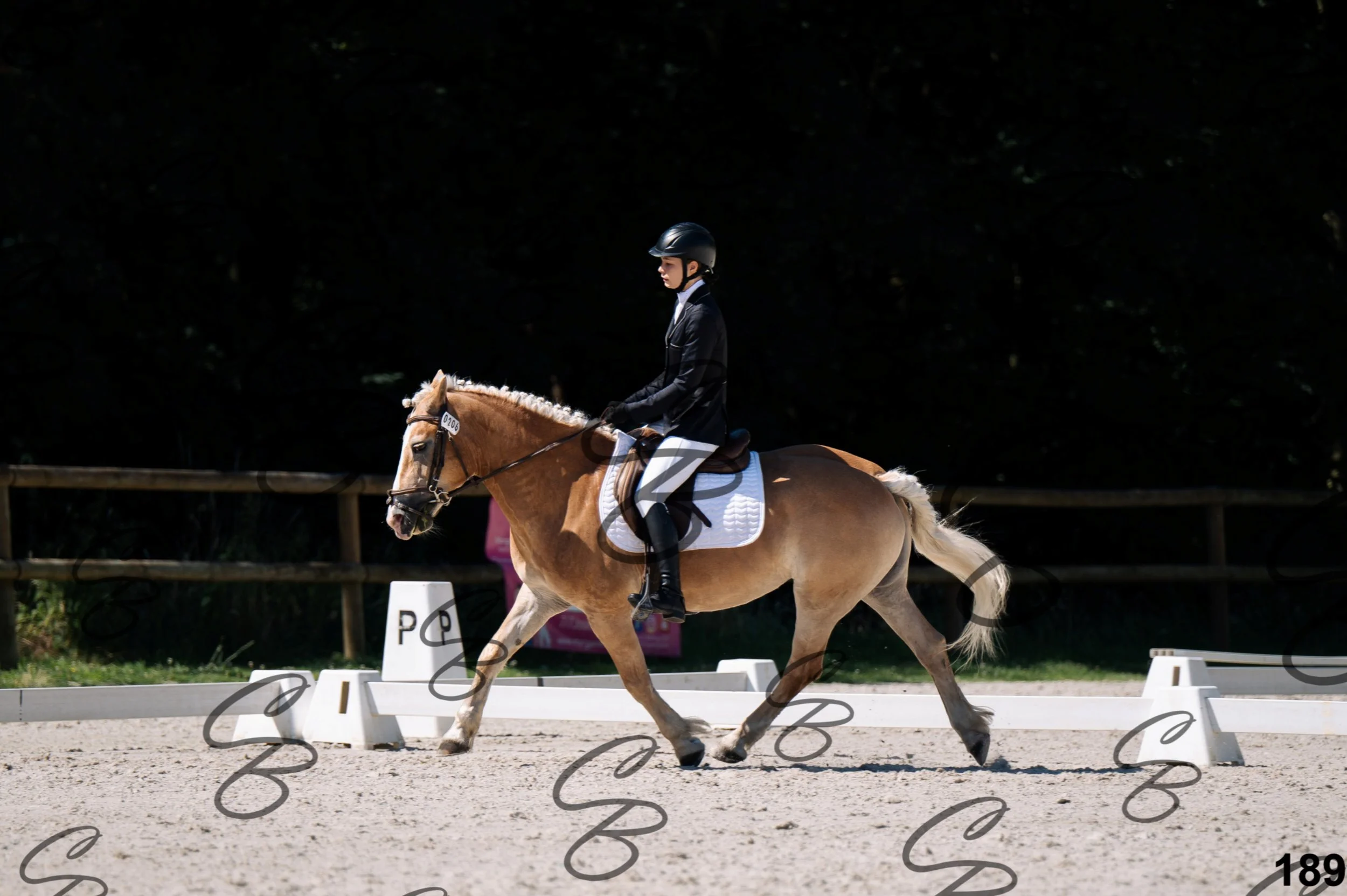 2026.07.12 -106 Niveau Initiation Poneys - Ini.6-6.jpg