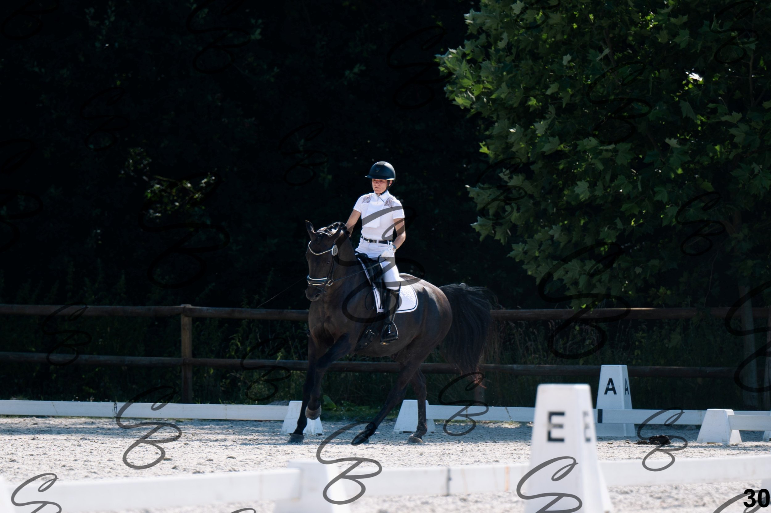 2026.07.12 - Jeunes chevaux - FEI 5YH Preliminary Test-30.jpg