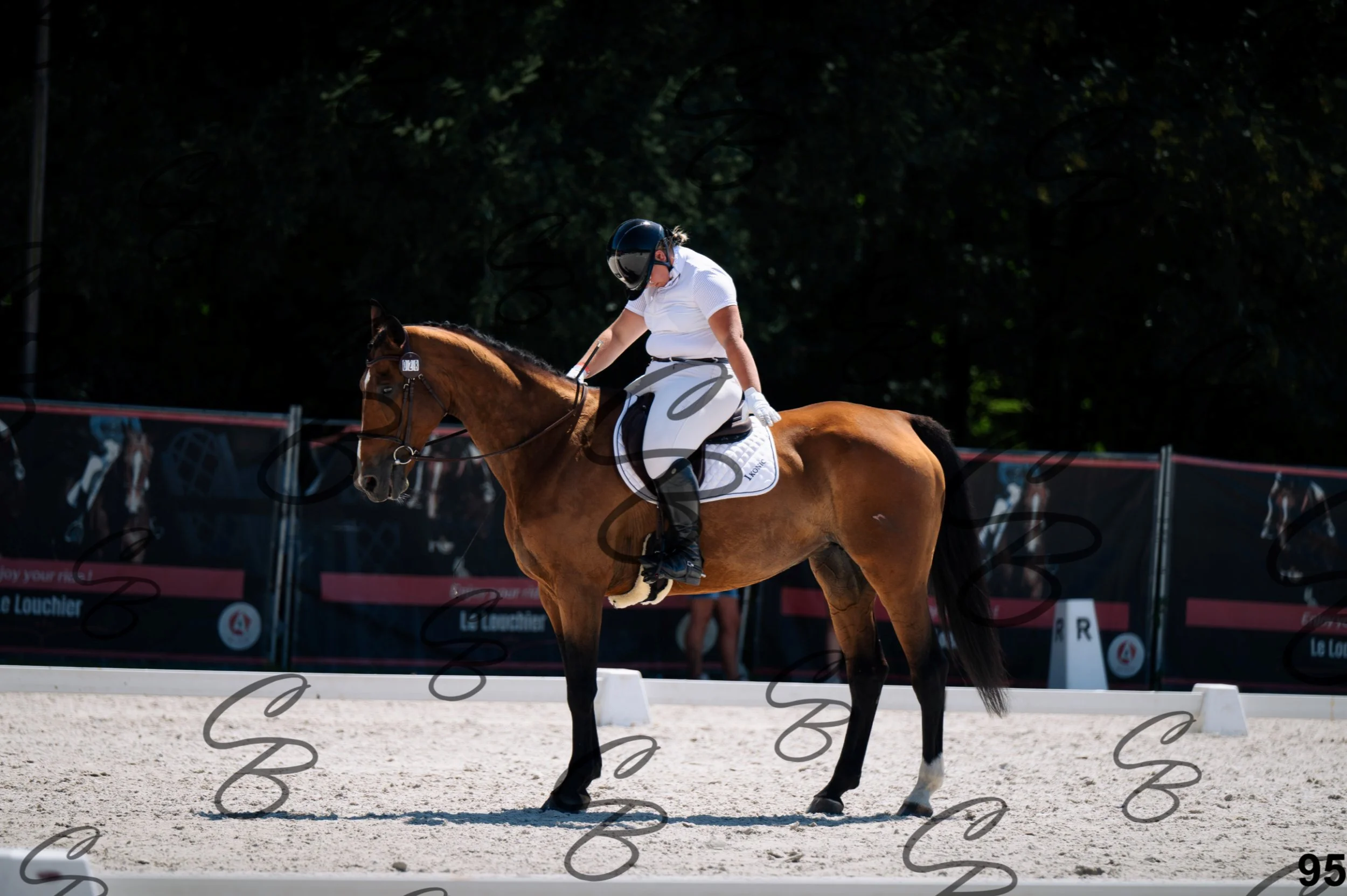 2026.07.12 - Niveau 1 - N1.5-95.jpg
