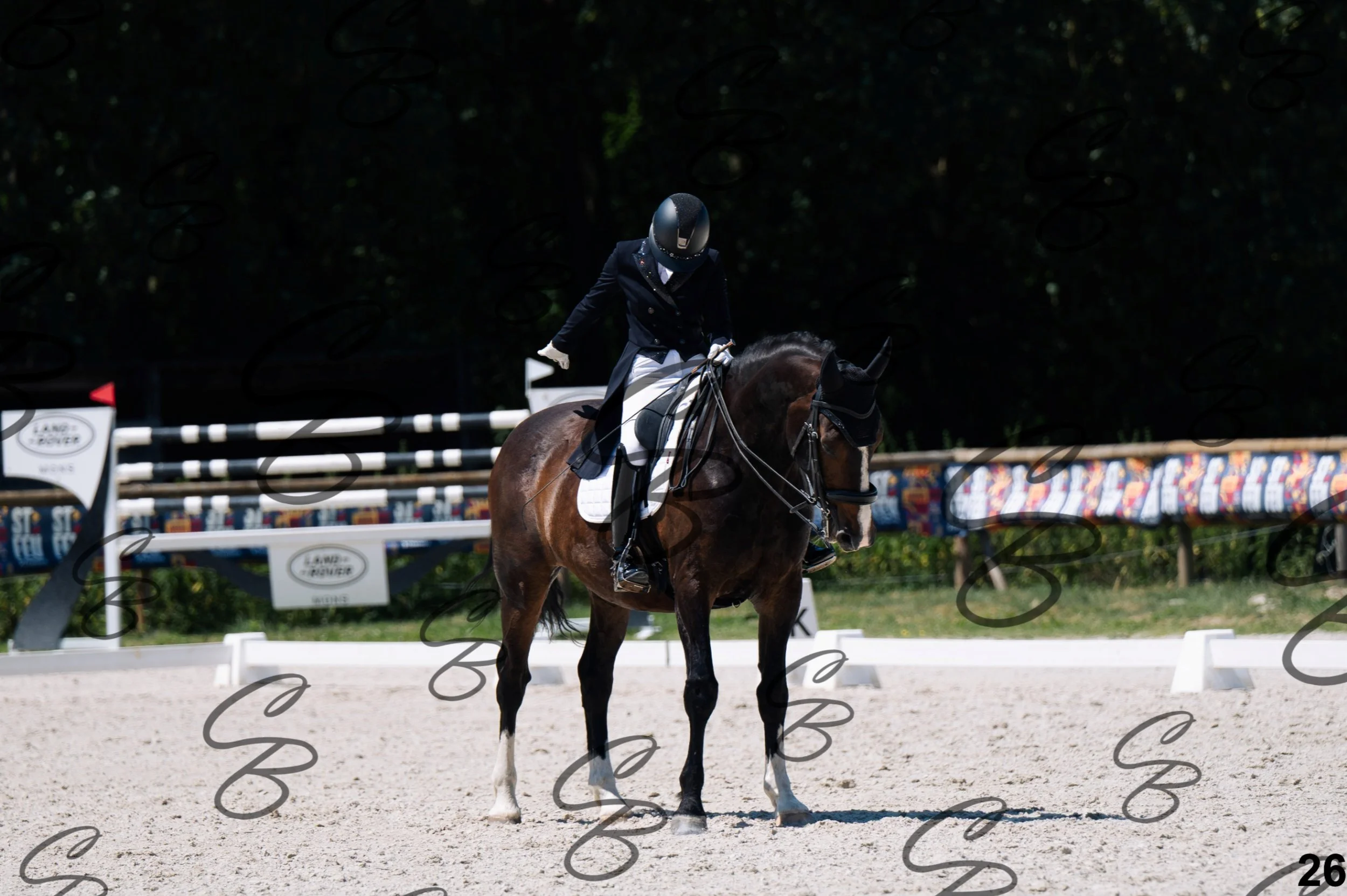 2026.07.12 - Niveau 5 - S3-26.jpg