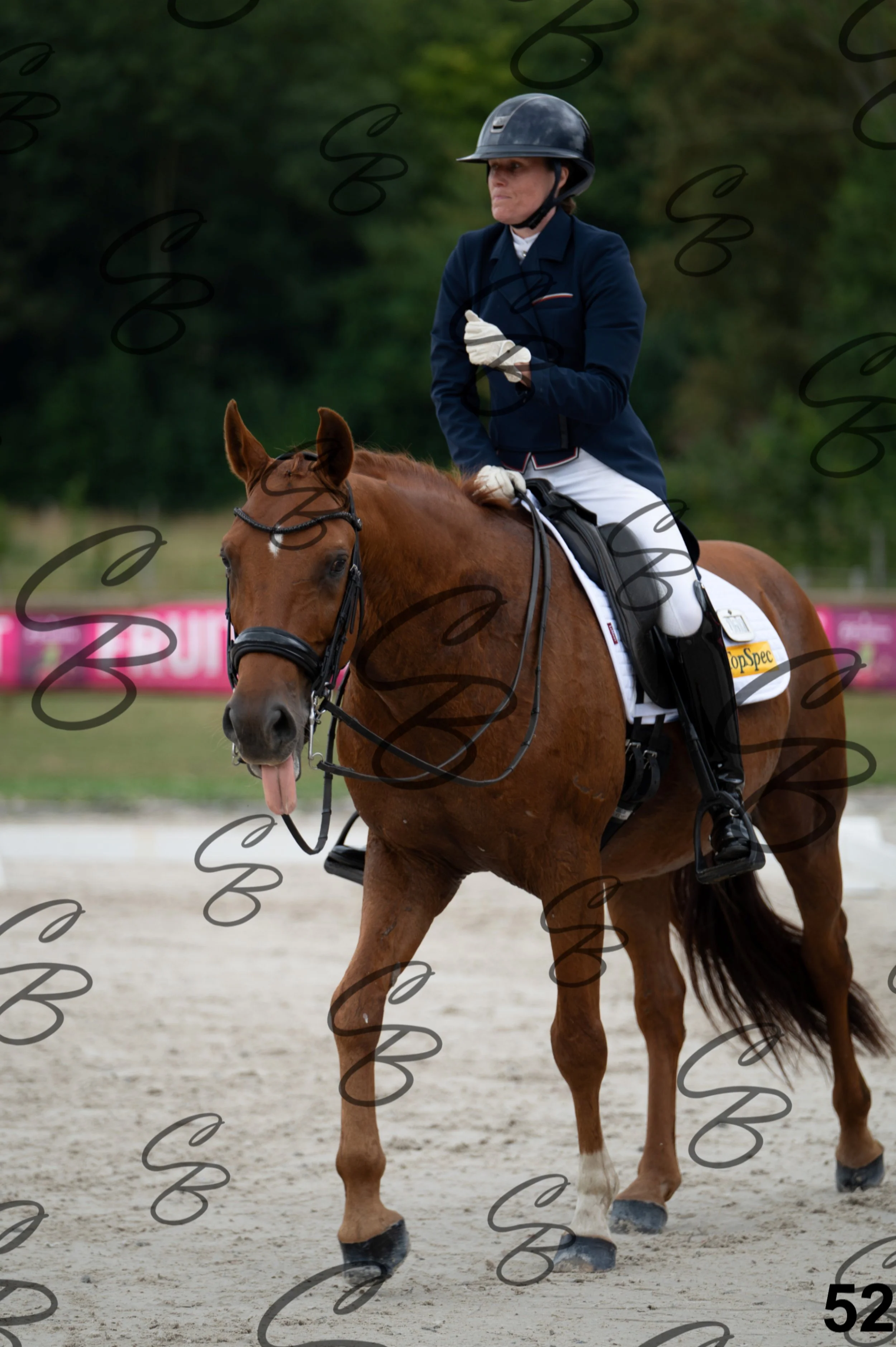 2026.07.04 - 3 Audrey Blau-13.jpg