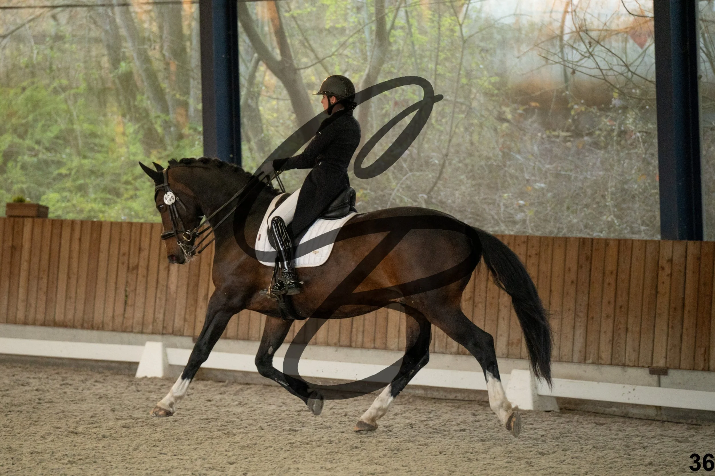 2026.03.22 - niv5 - saint georges-36.jpg