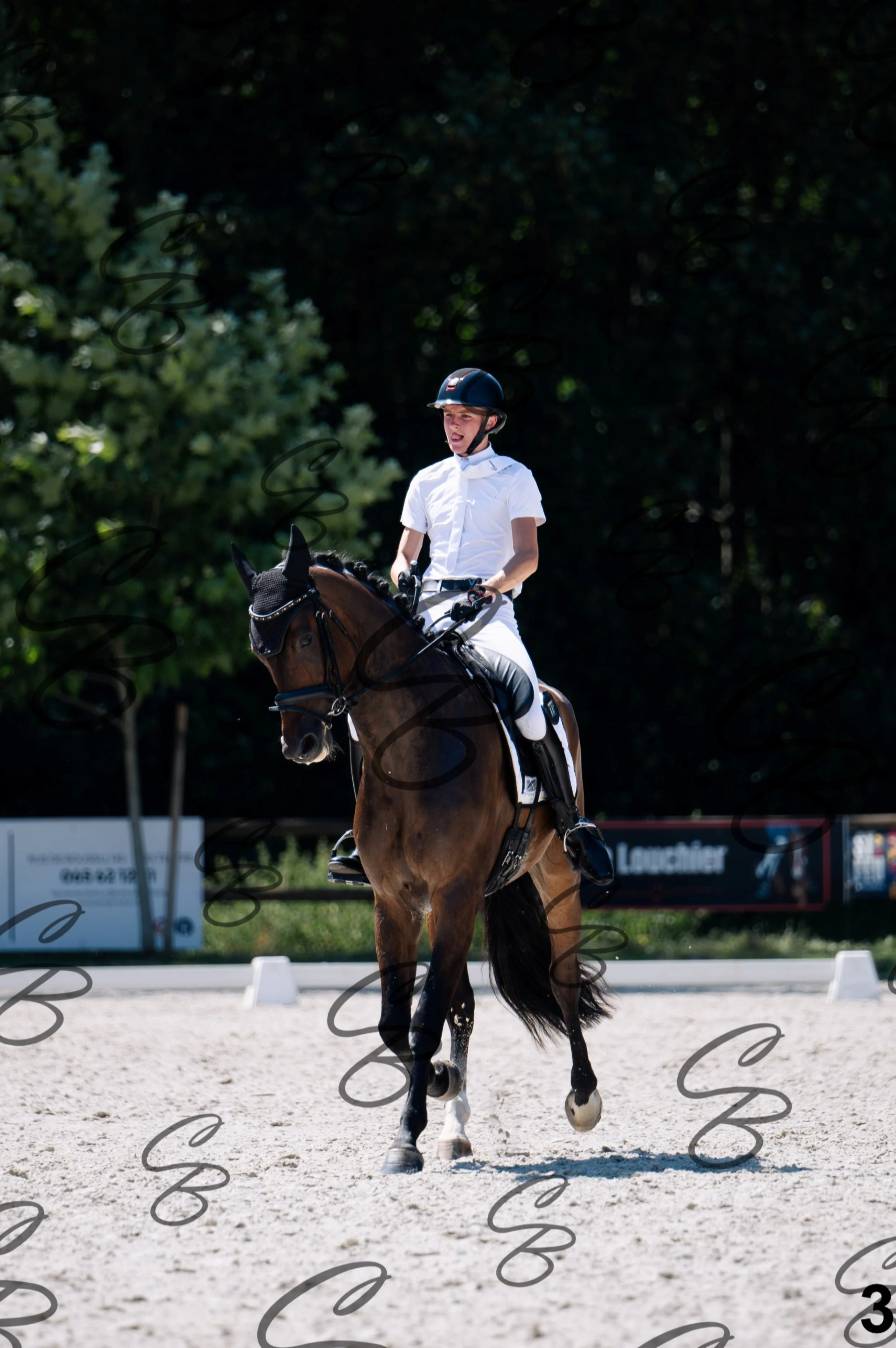 2026.07.12 - Jeunes chevaux - FEI 6YH Preliminary Test-3.jpg