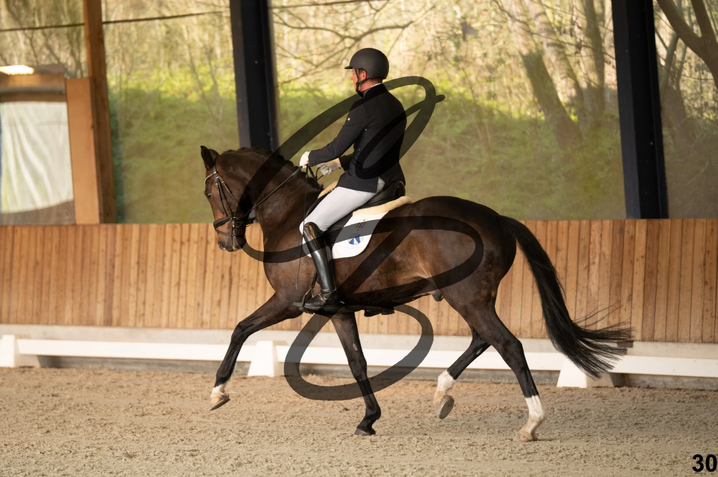 2026.03.22 - jeunes chevaux - 6ans-30.jpg