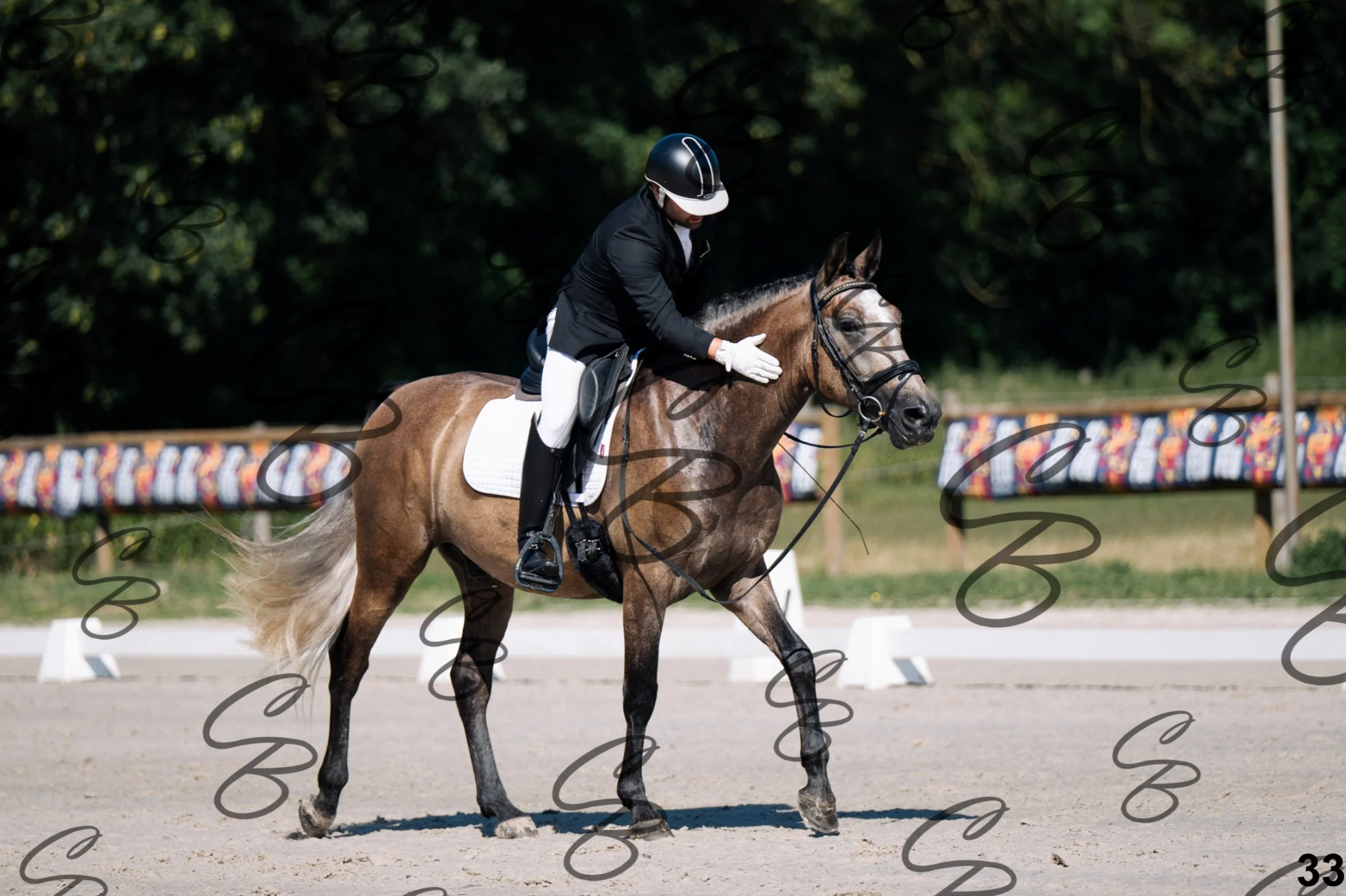 2026.07.11 - 1 Primera - Jonge paarden - Jeunes chevaux -33.jpg